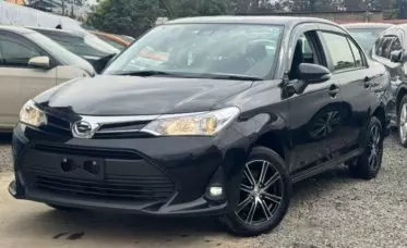 Toyota Axio 