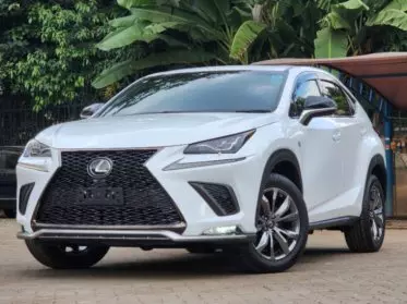 Lexus NX 300
