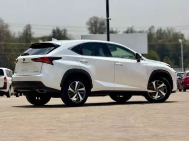 Lexus NX 300