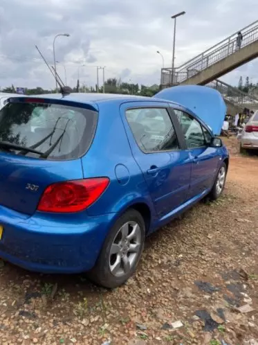 Peugeot 307