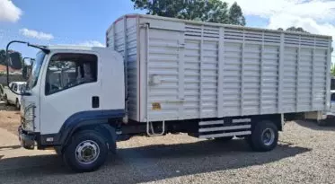 Isuzu FRR