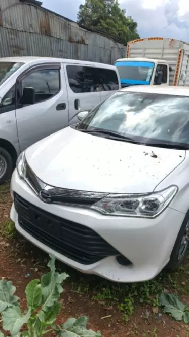 Toyota Axio 