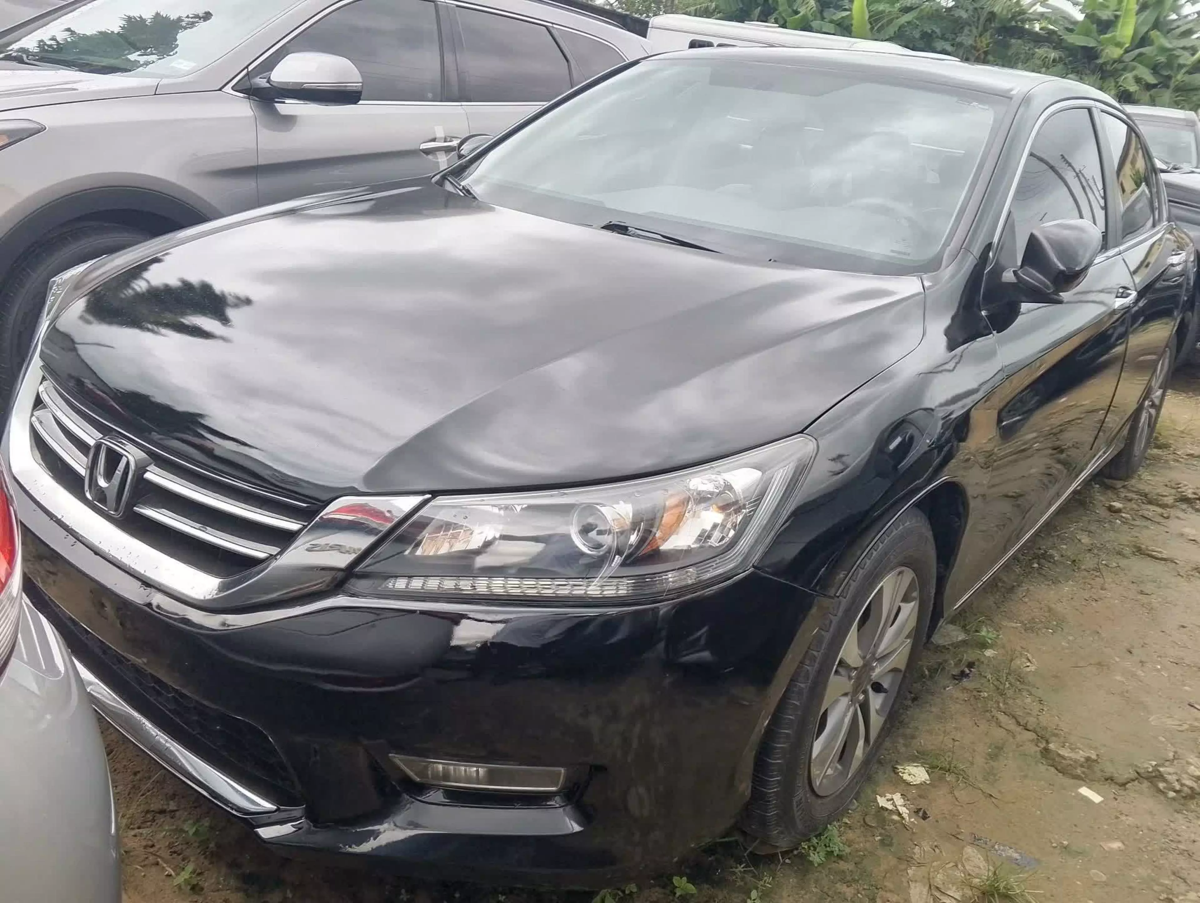 Honda Accord  - 2014