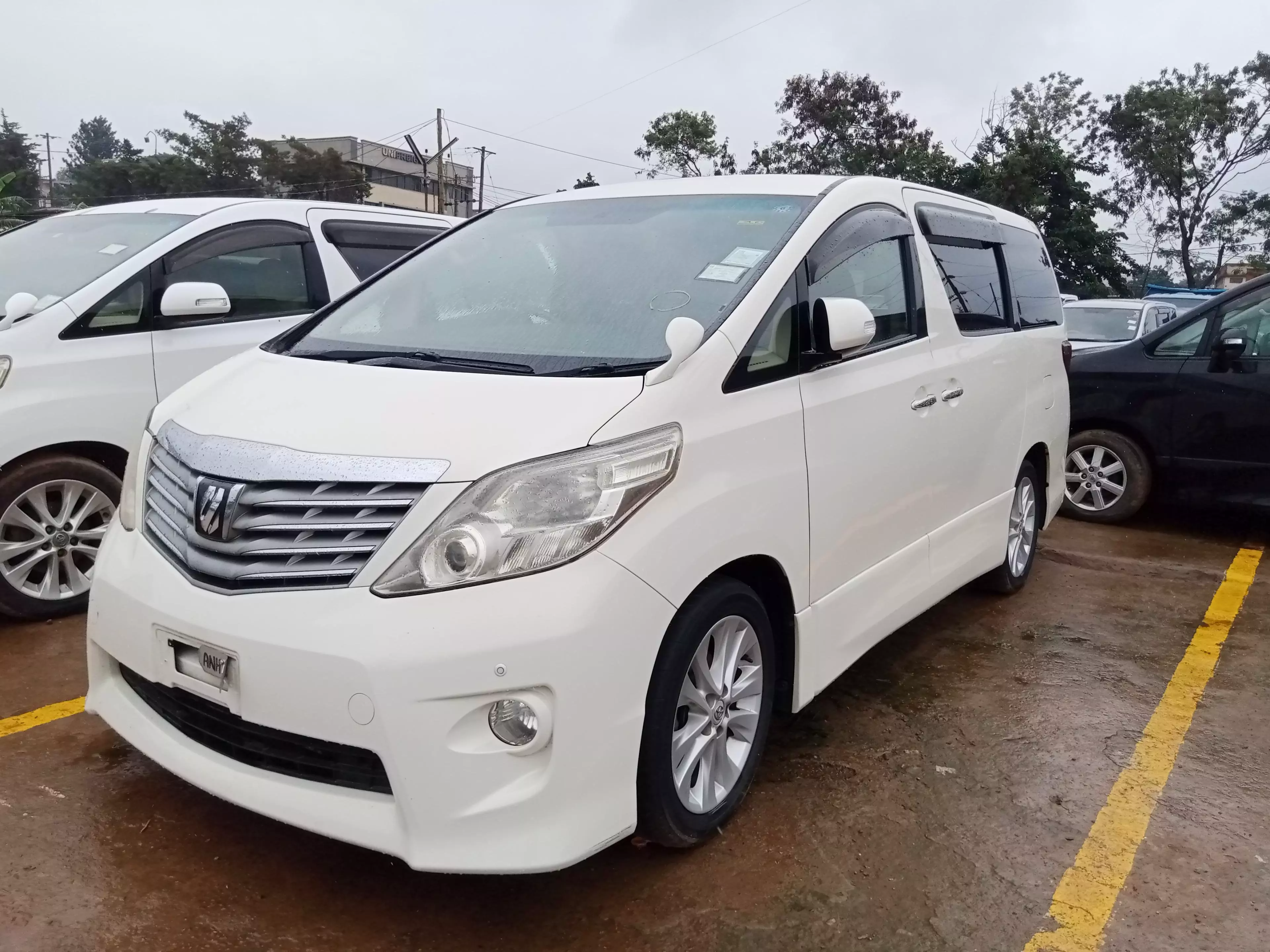 Toyota Alphard  - 2009