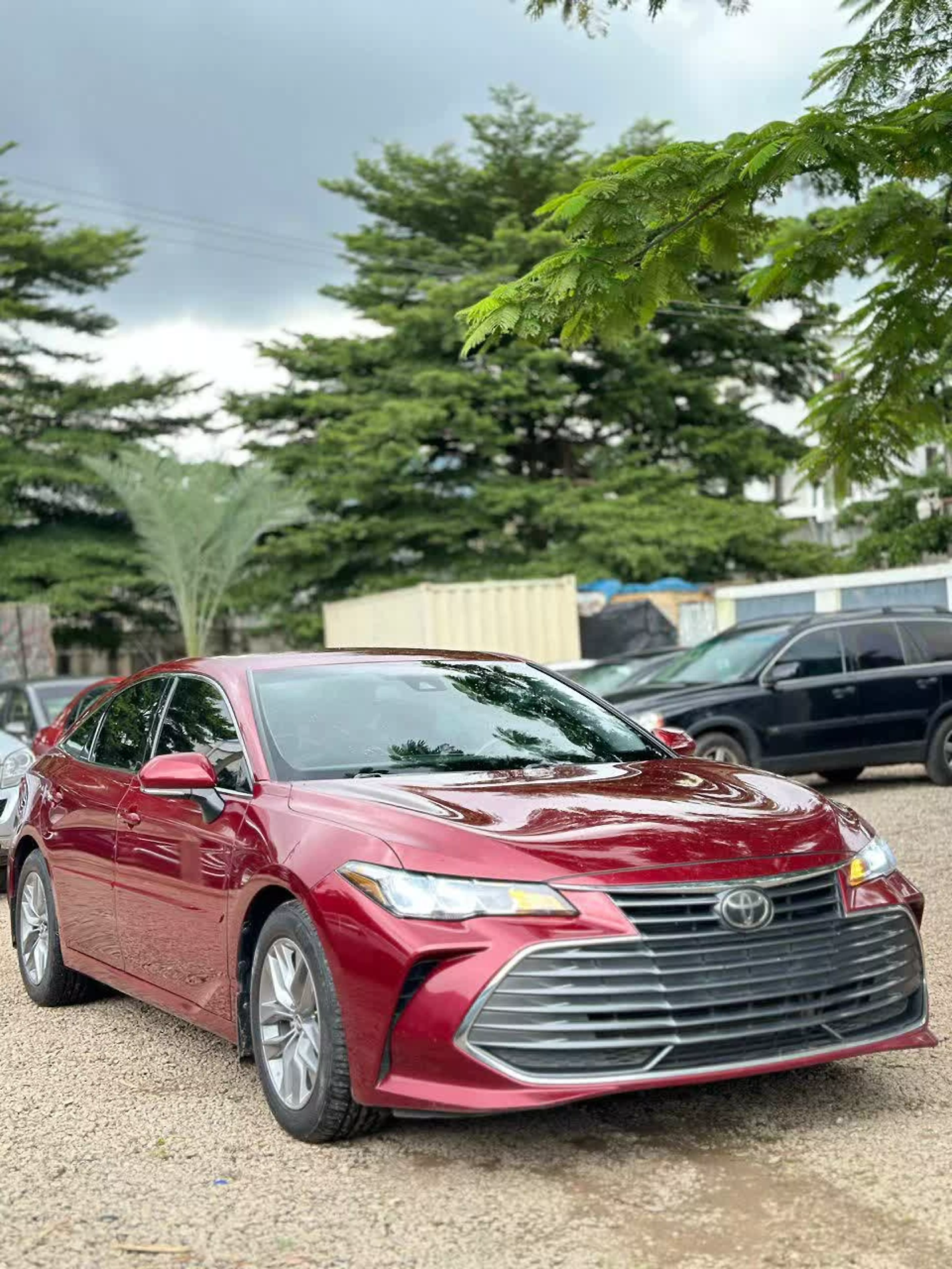 Toyota Avalon - 2019