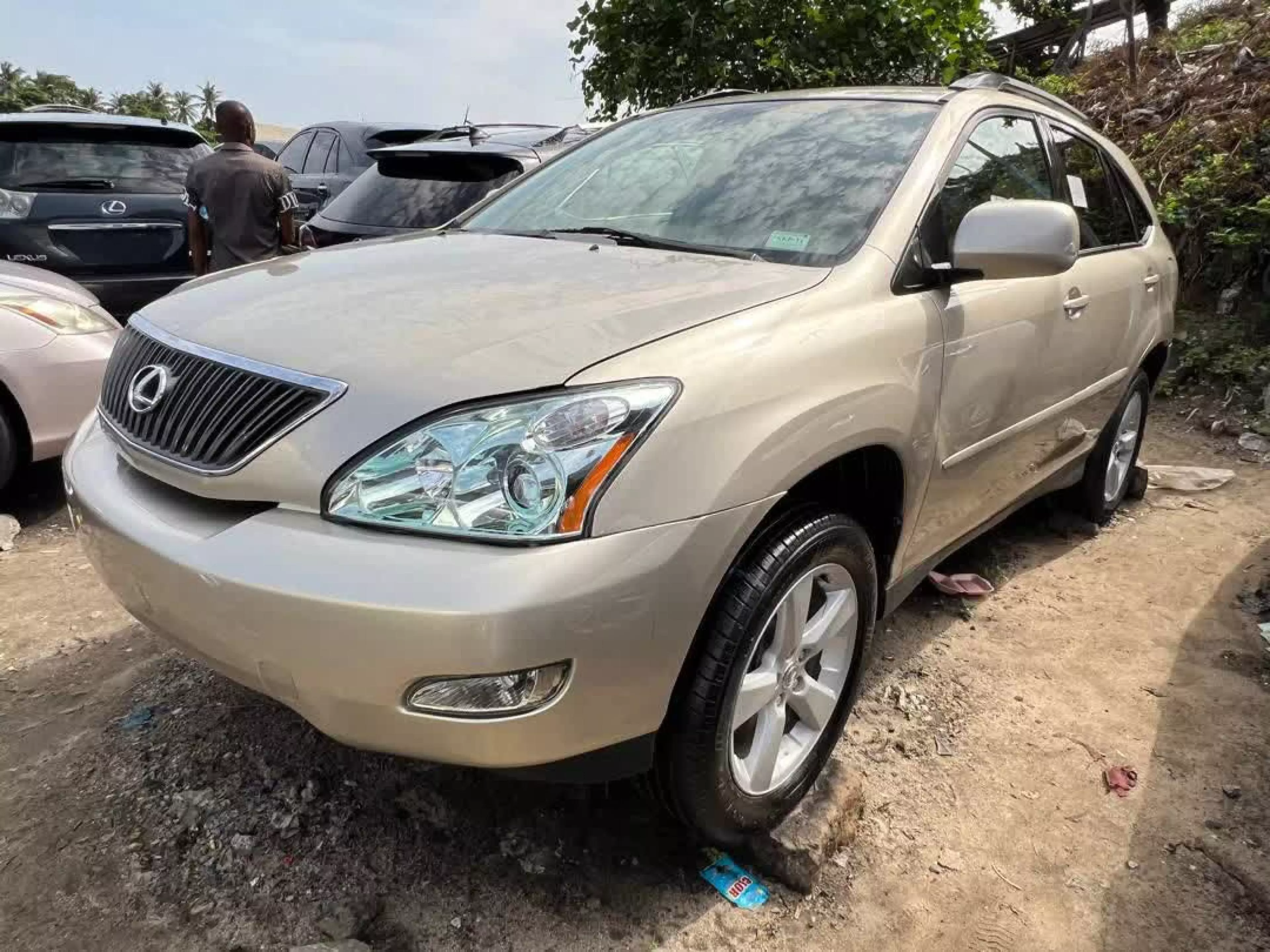 Lexus RX 330  - 2004