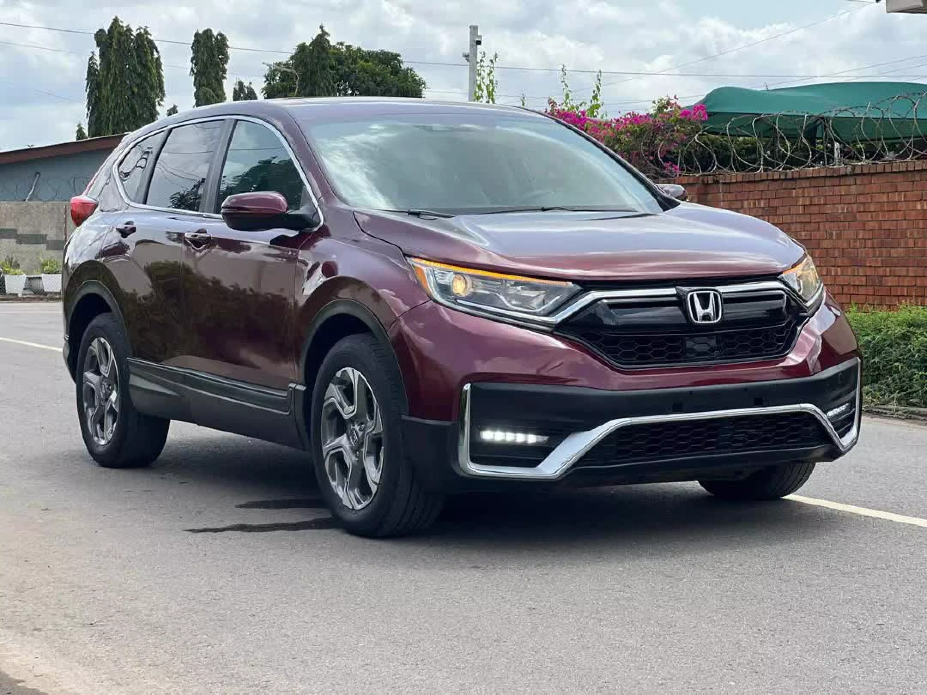 Honda CR-V  - 2019