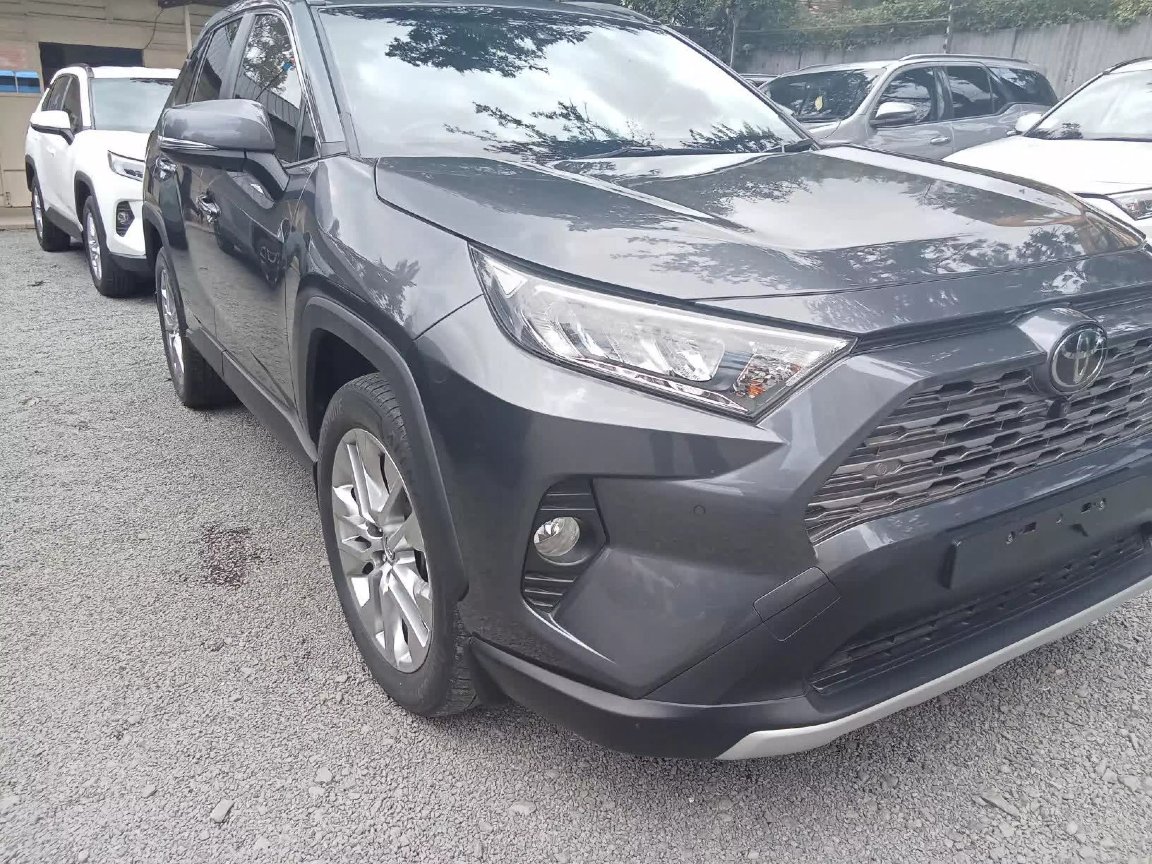 Toyota RAV 4 - 2019