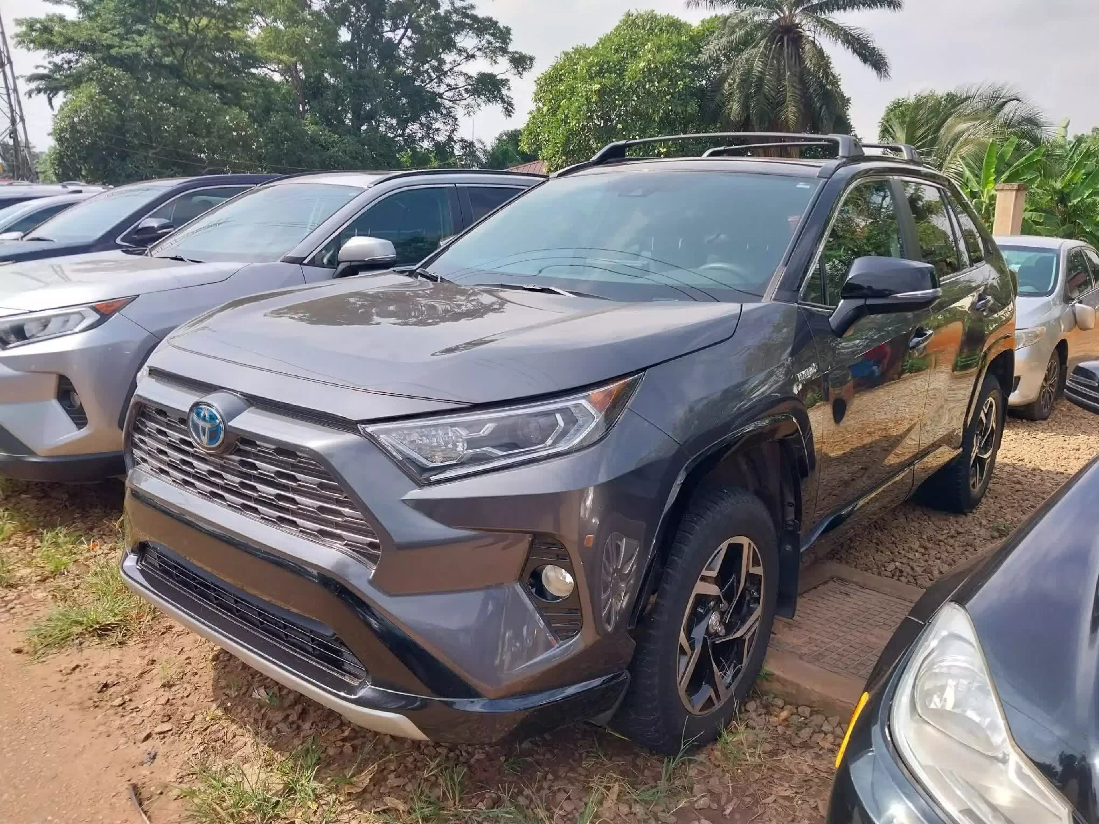 Toyota RAV 4 - 2021