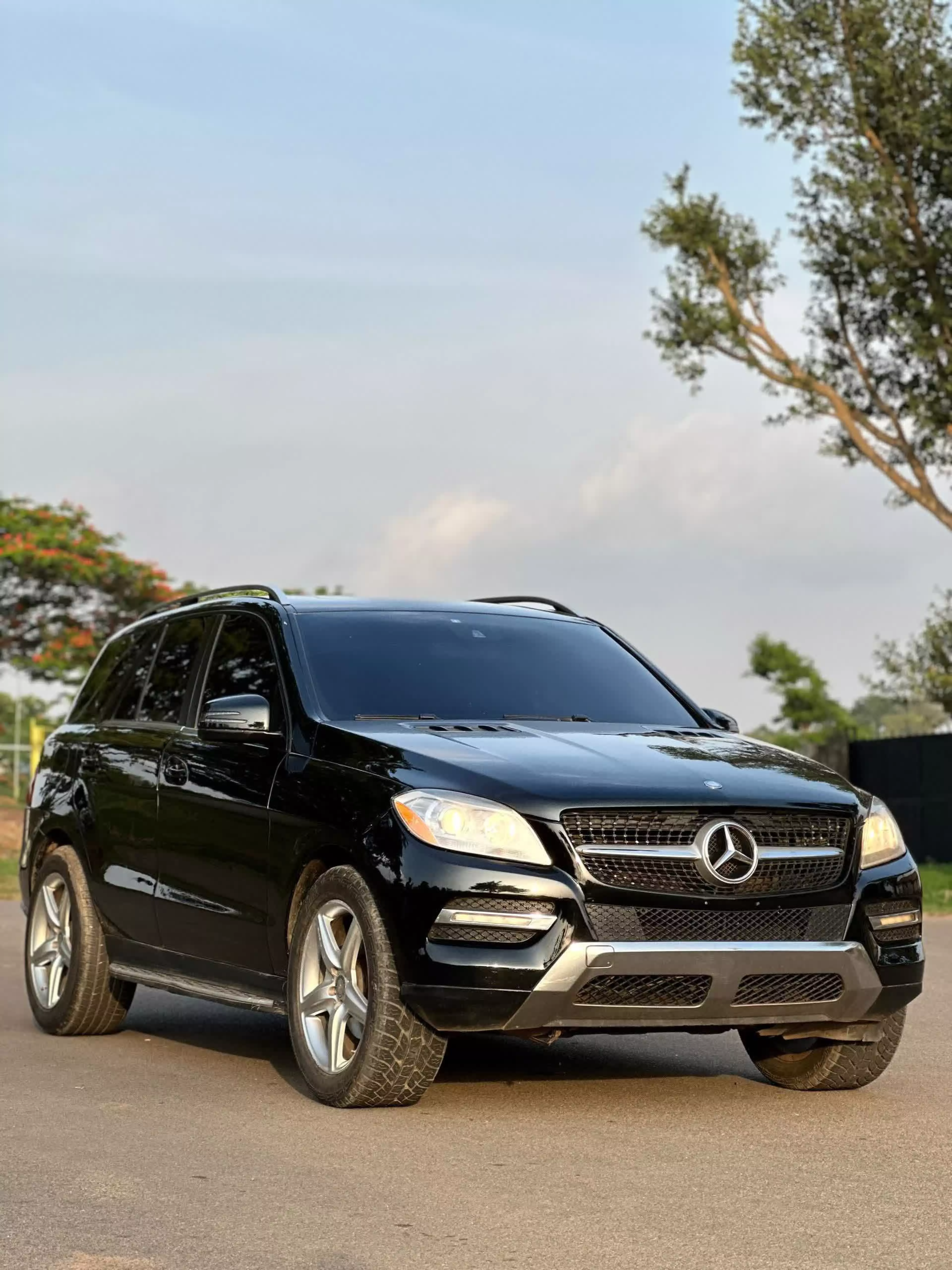 Mercedes-Benz ML 350 - 2012