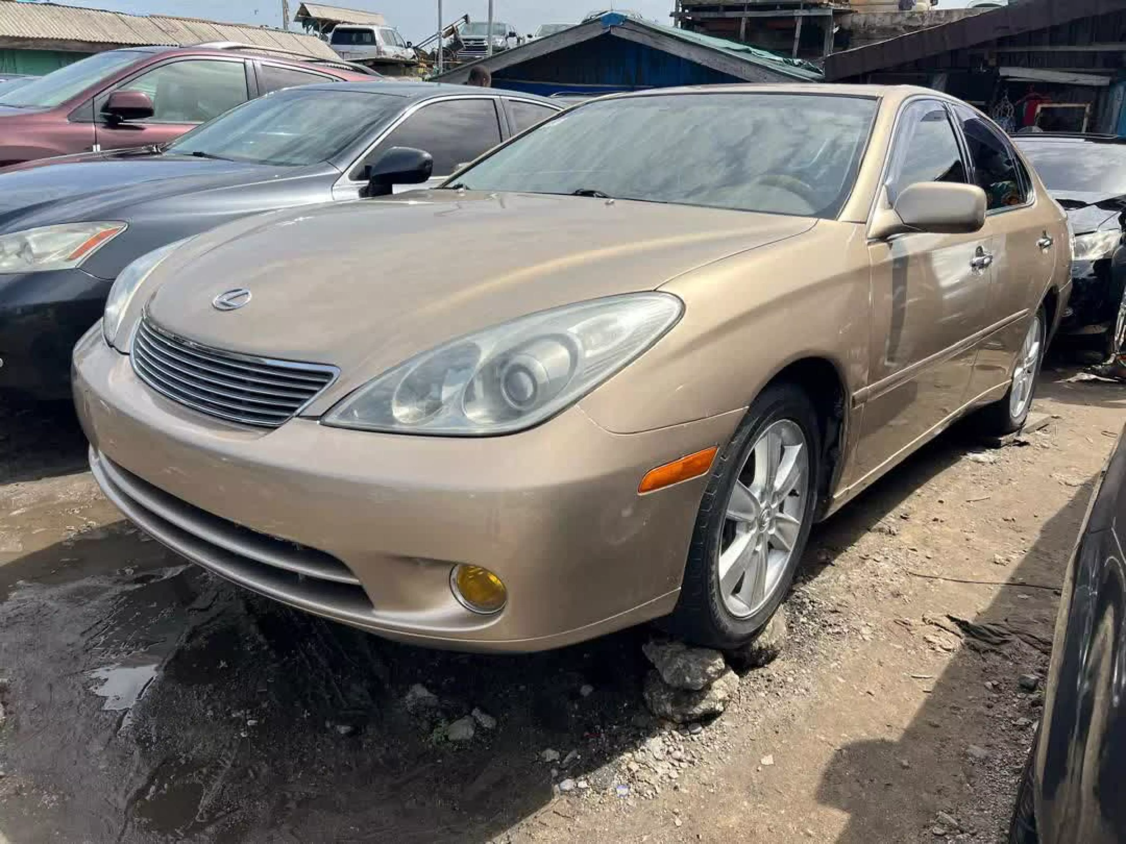 Lexus ES 330  - 2006