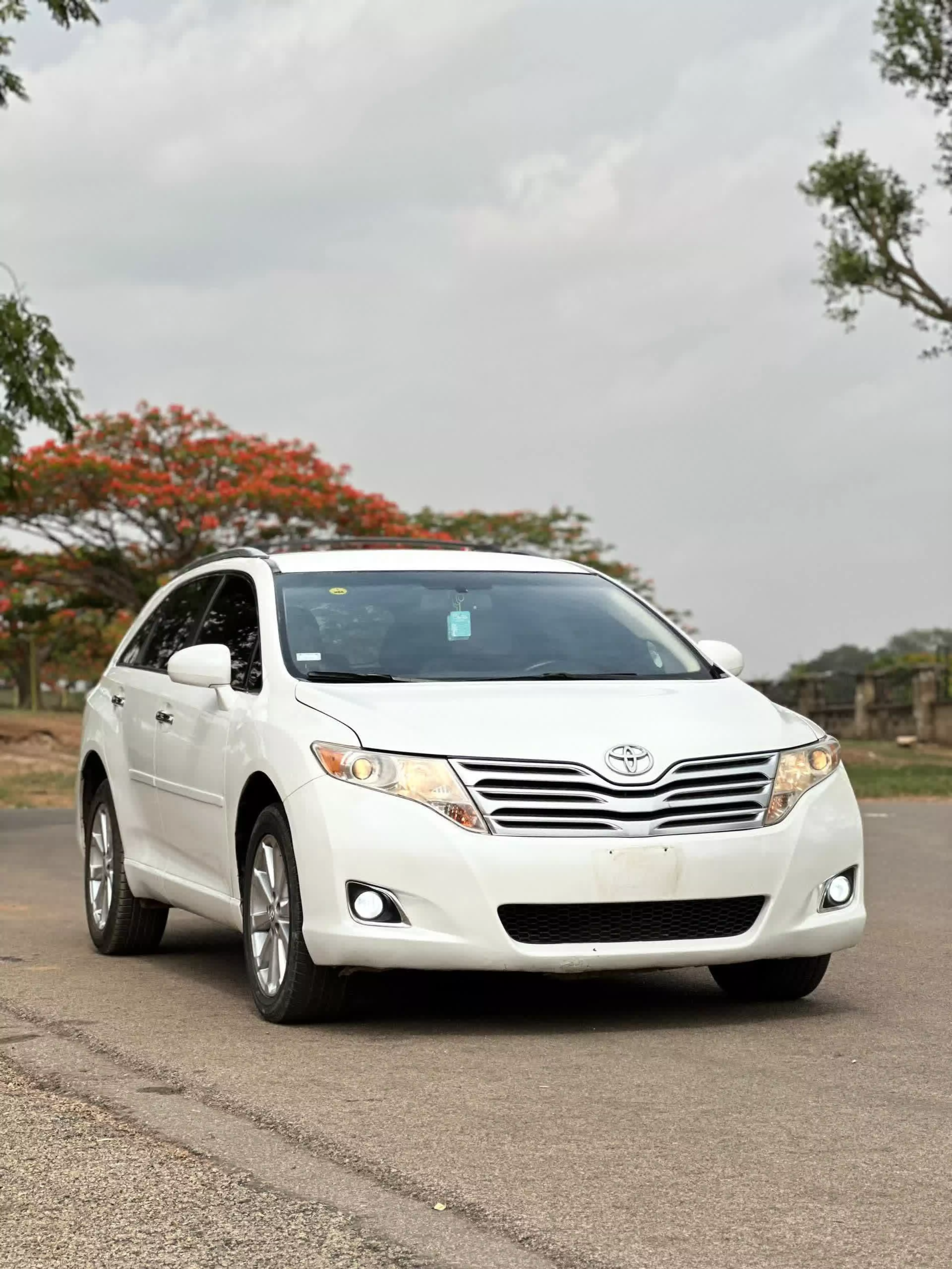 Toyota Venza - 2010