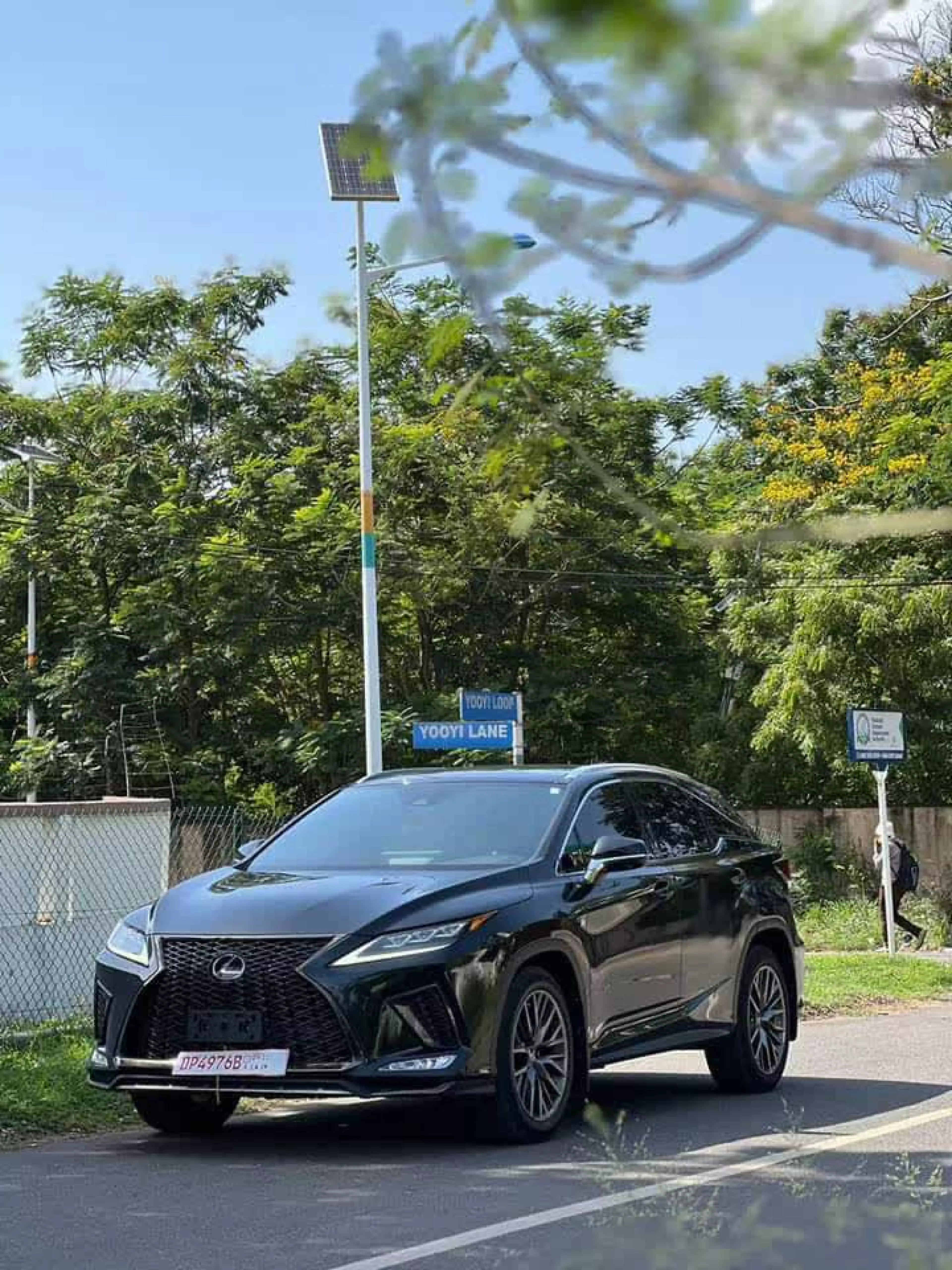 Lexus RX 350  - 2021