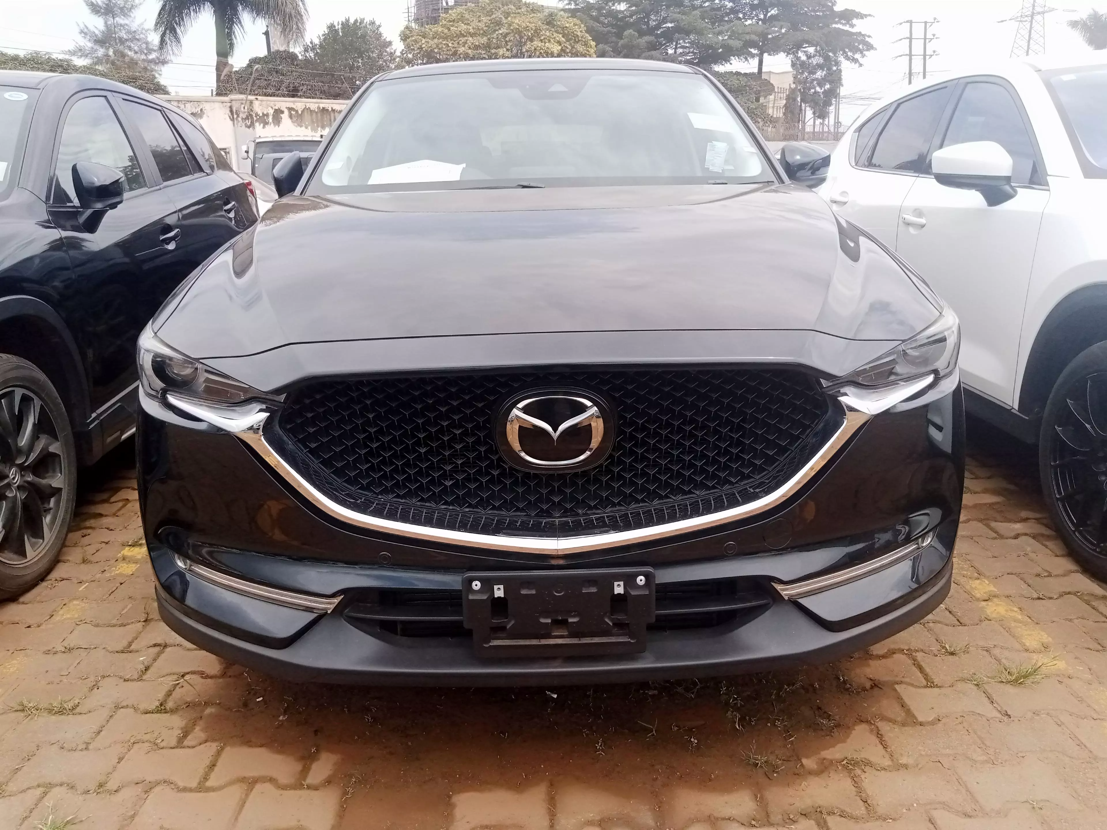 Mazda CX-5 - 2019