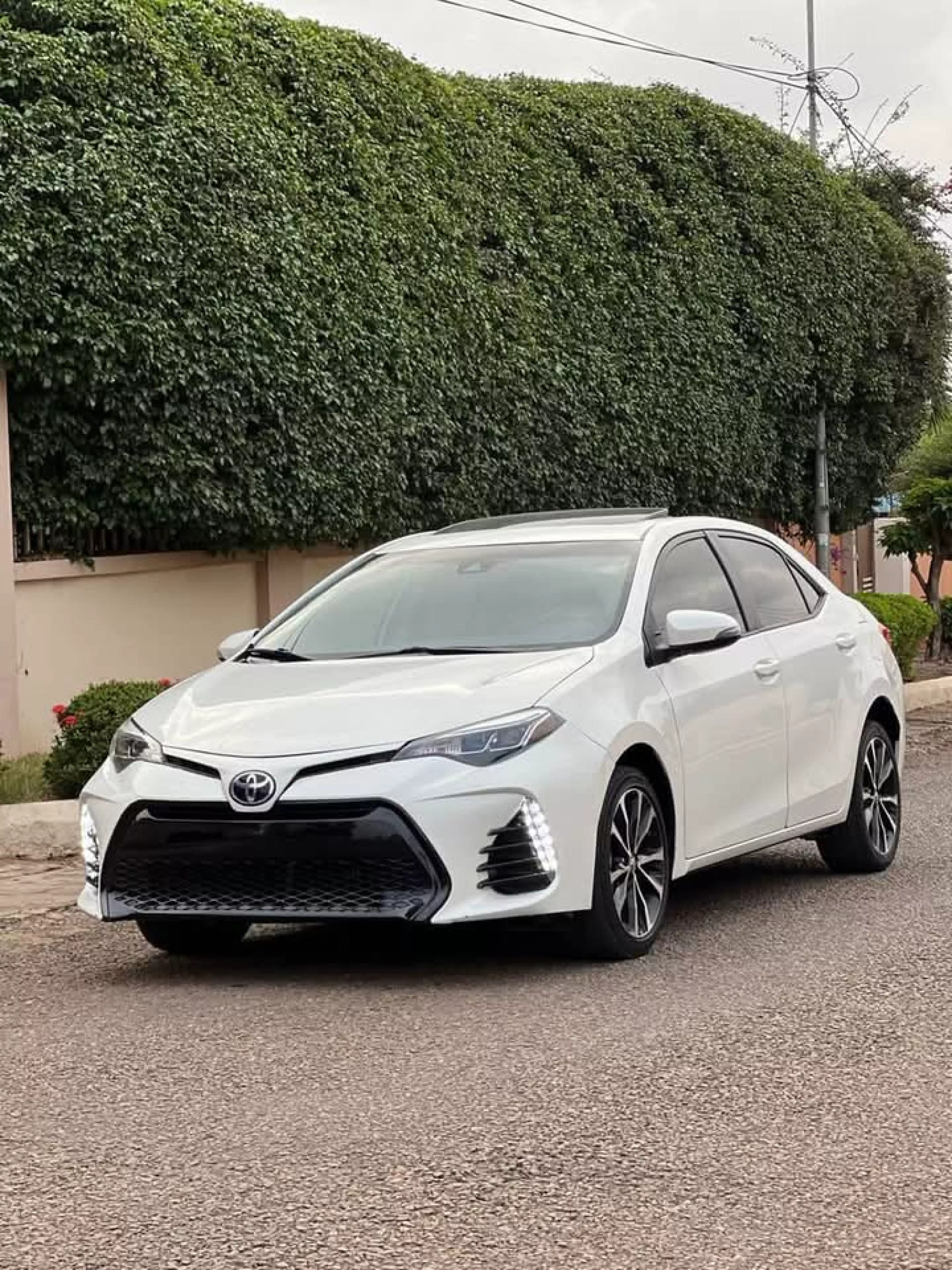 Toyota Corolla - 2019