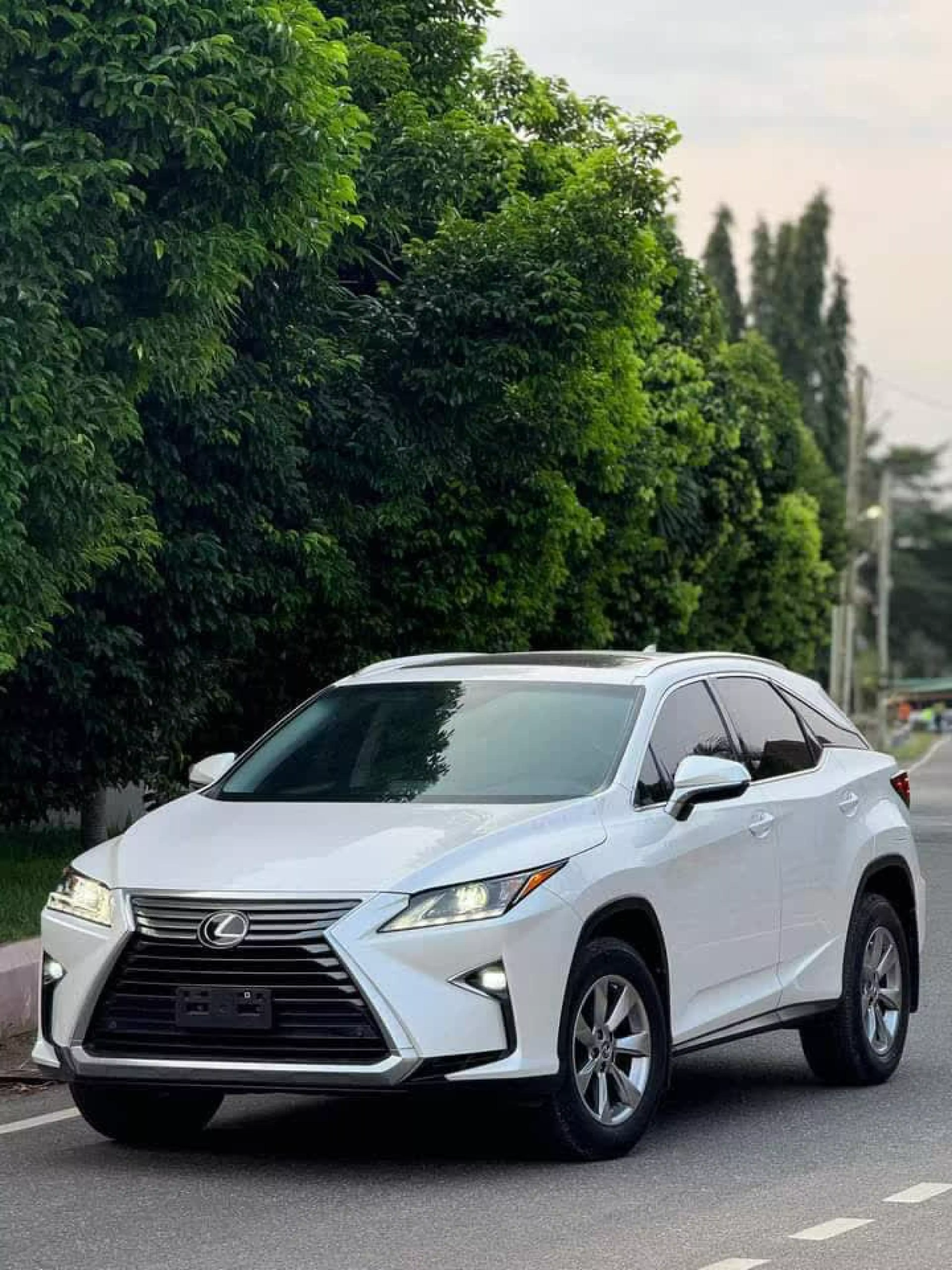 Lexus RX 350 - 2019