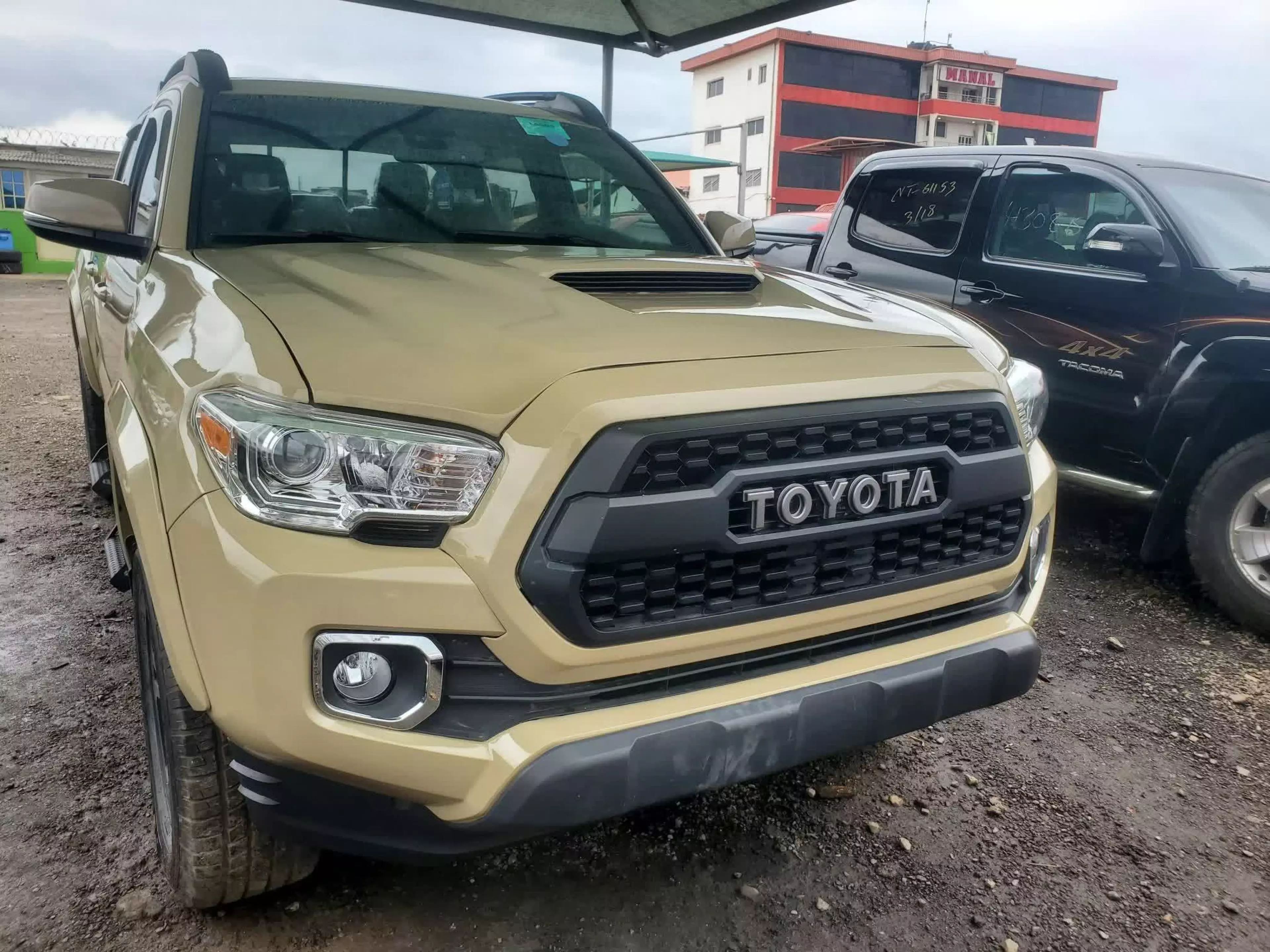 Toyota Tacoma - 2019