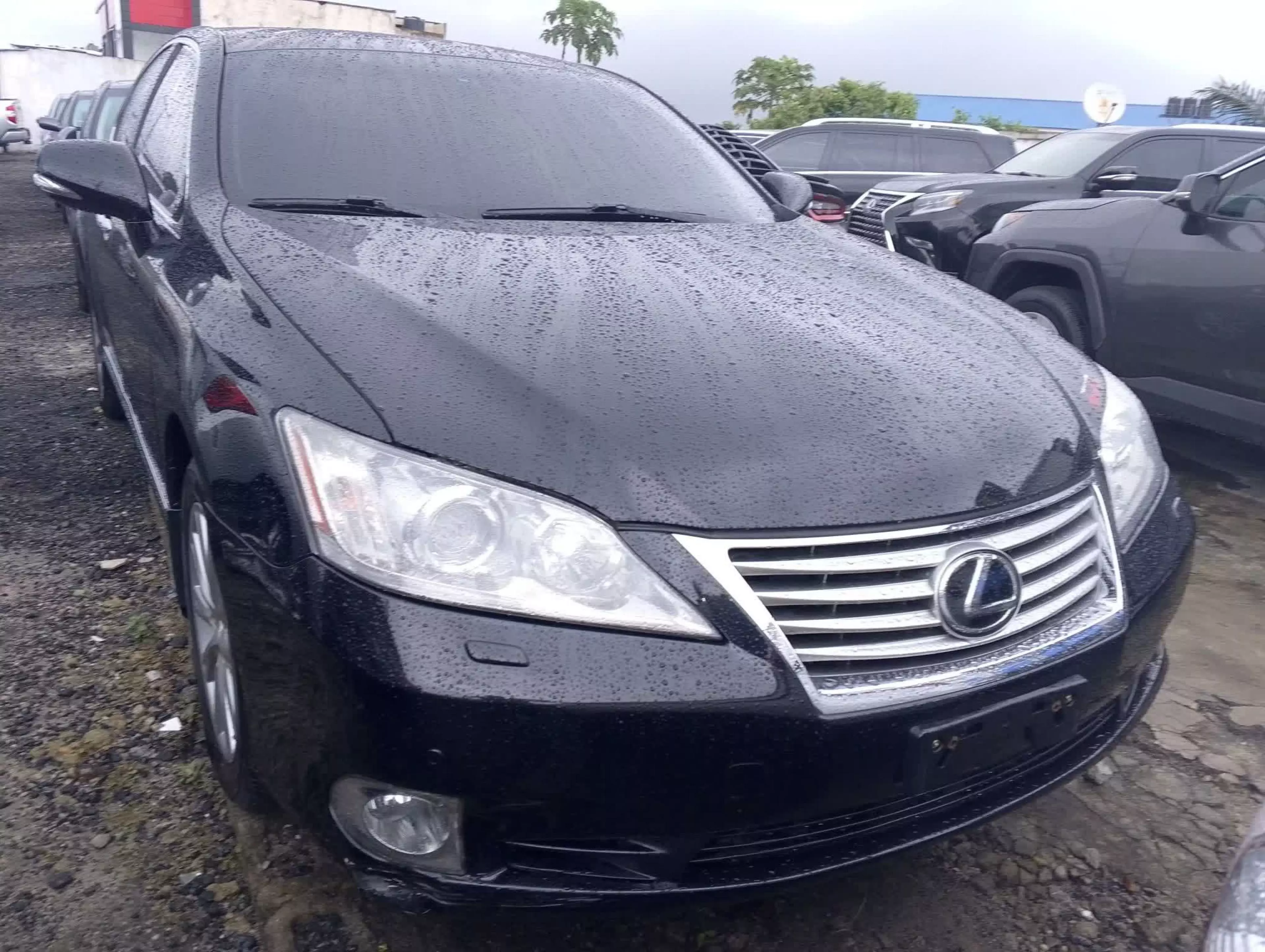 Lexus ES 350  - 2009