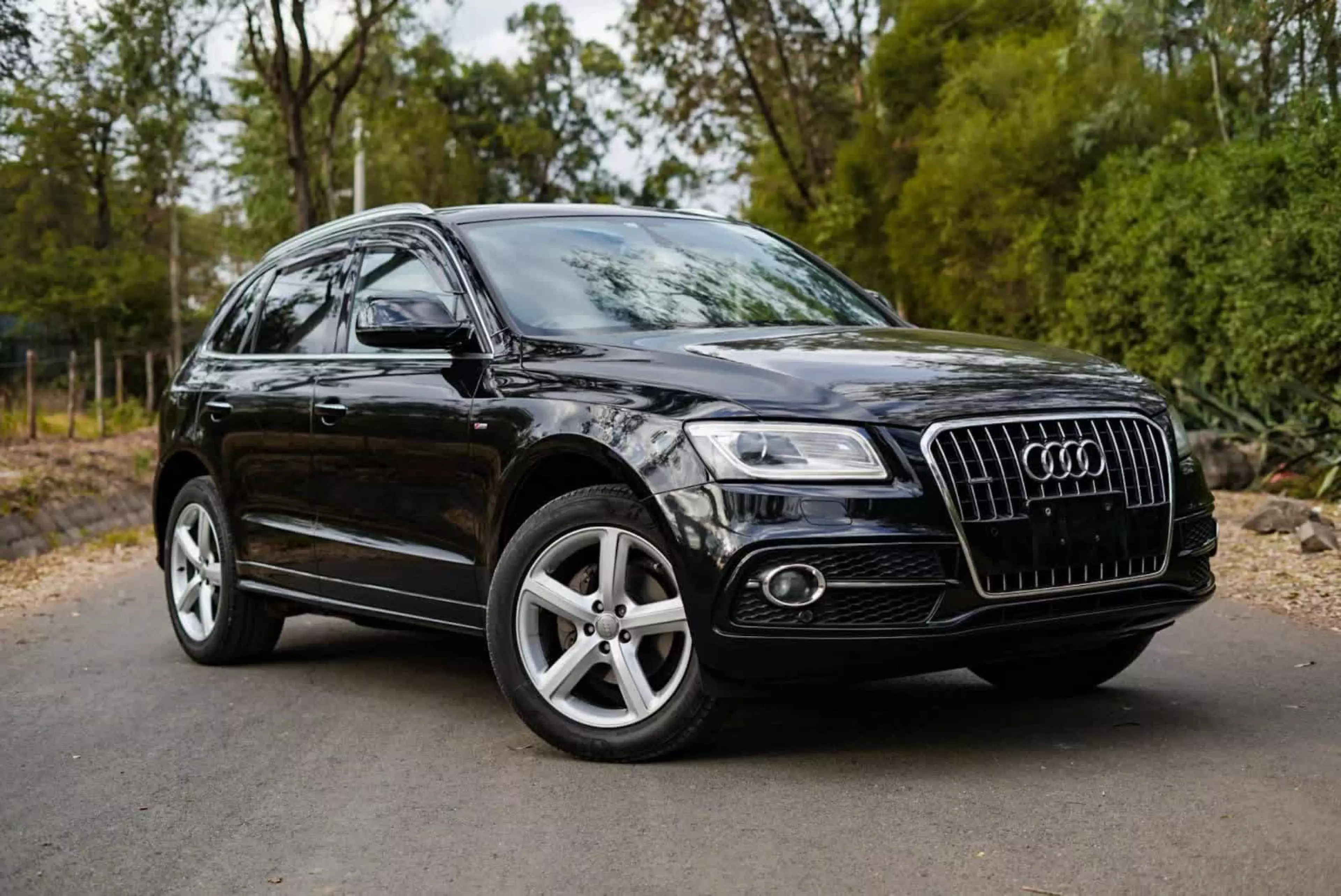 Audi SQ5 - 2015