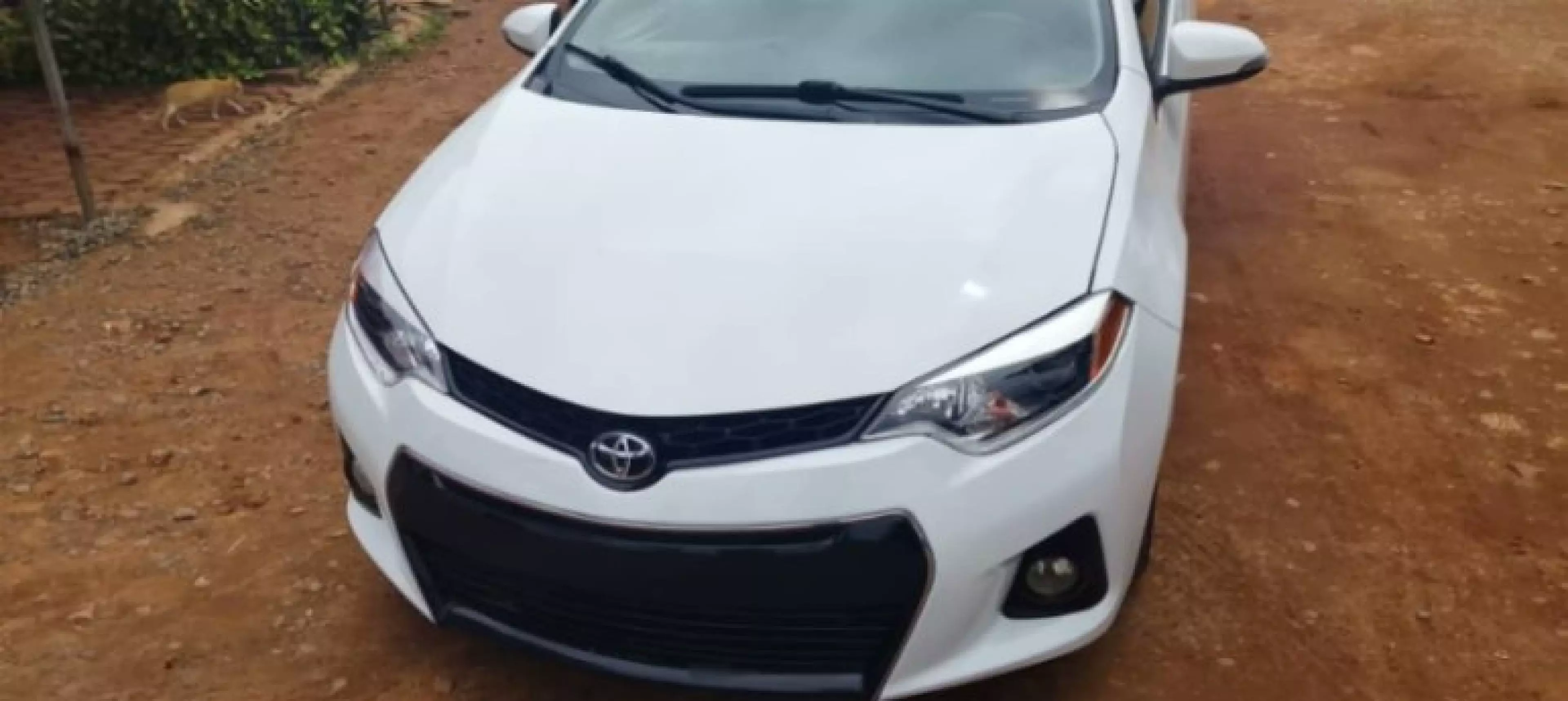 Toyota Corolla - 2015