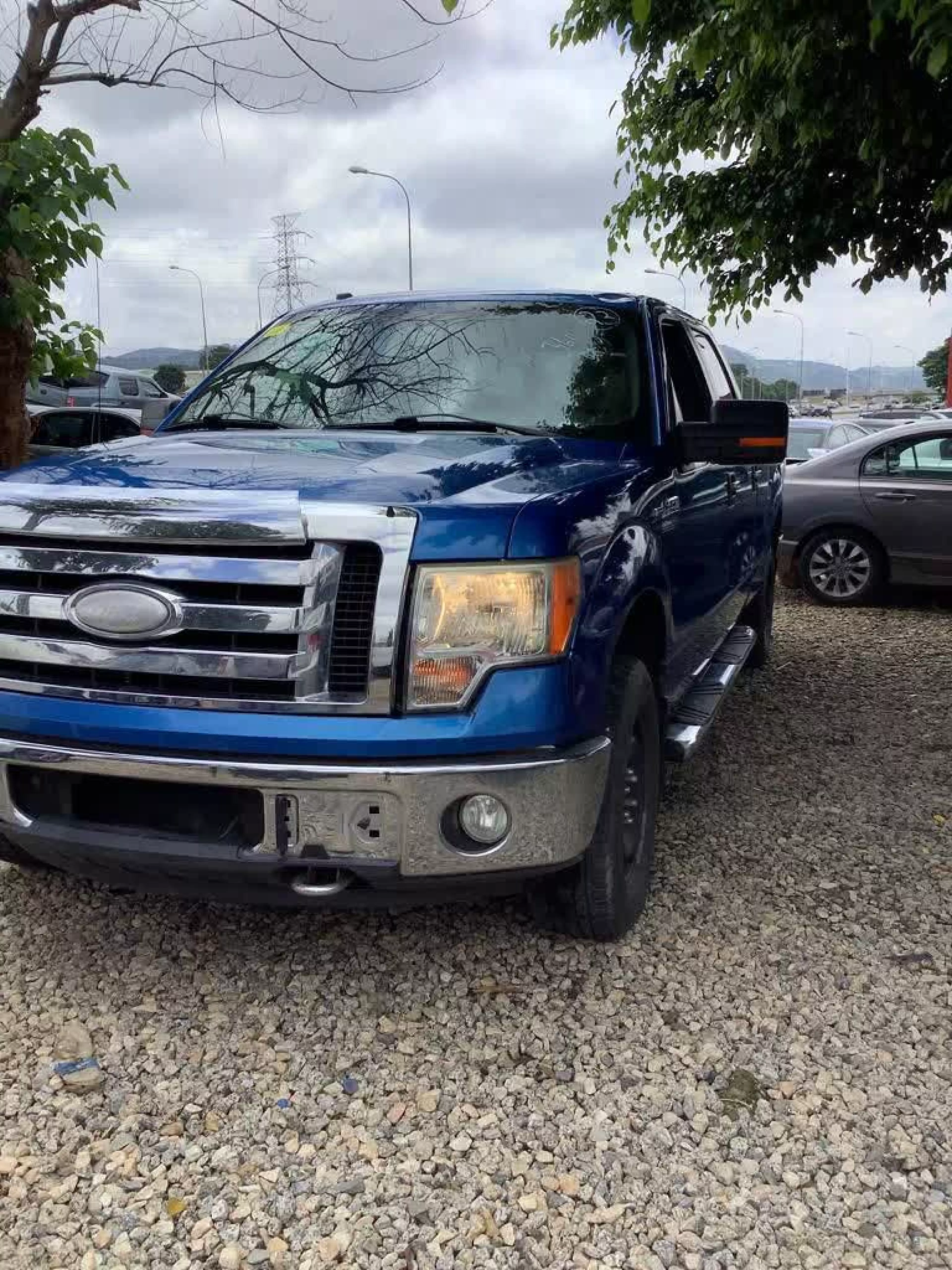 Ford F 150 - 2009