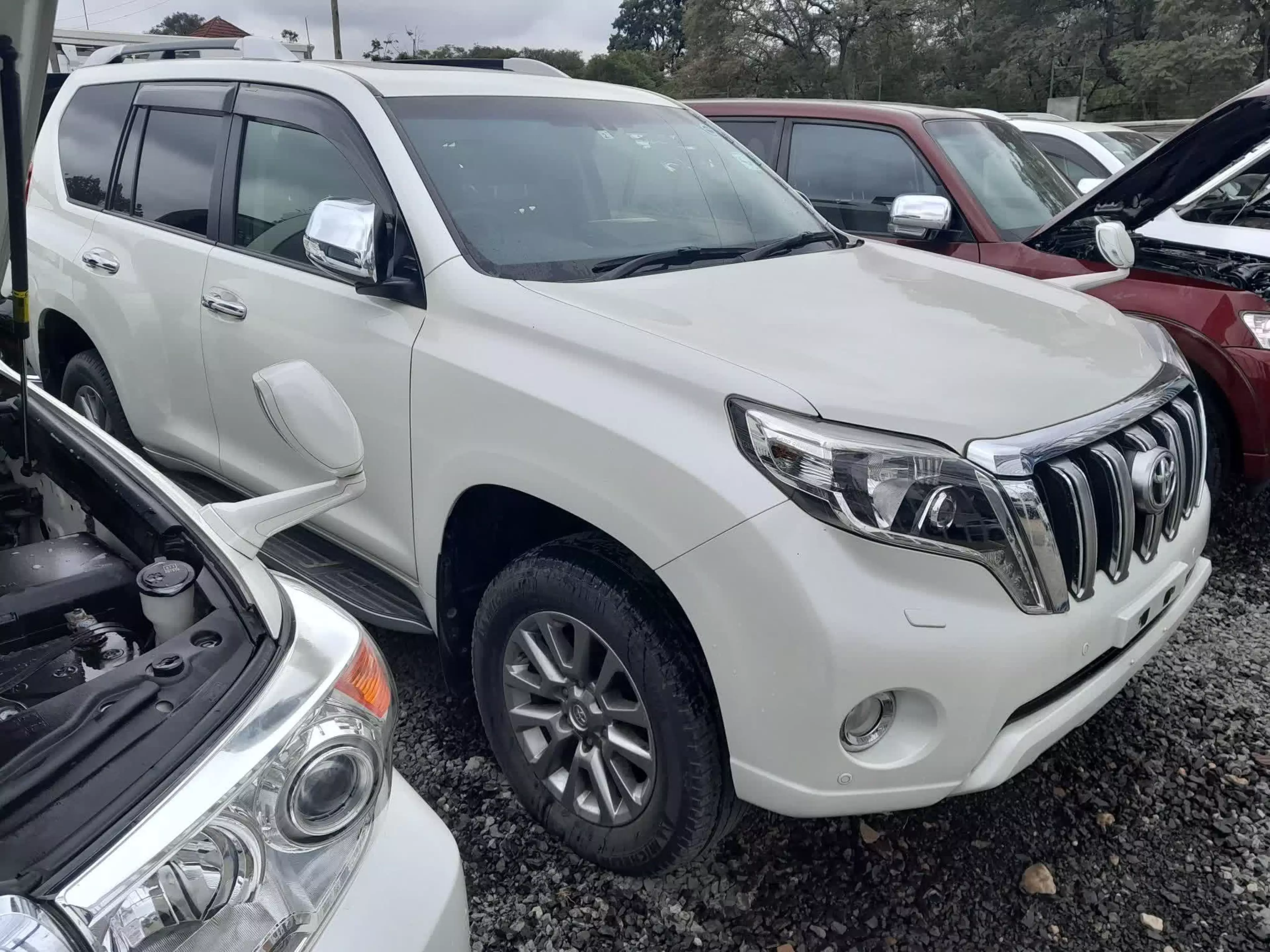 Toyota Prado TXL - 2017