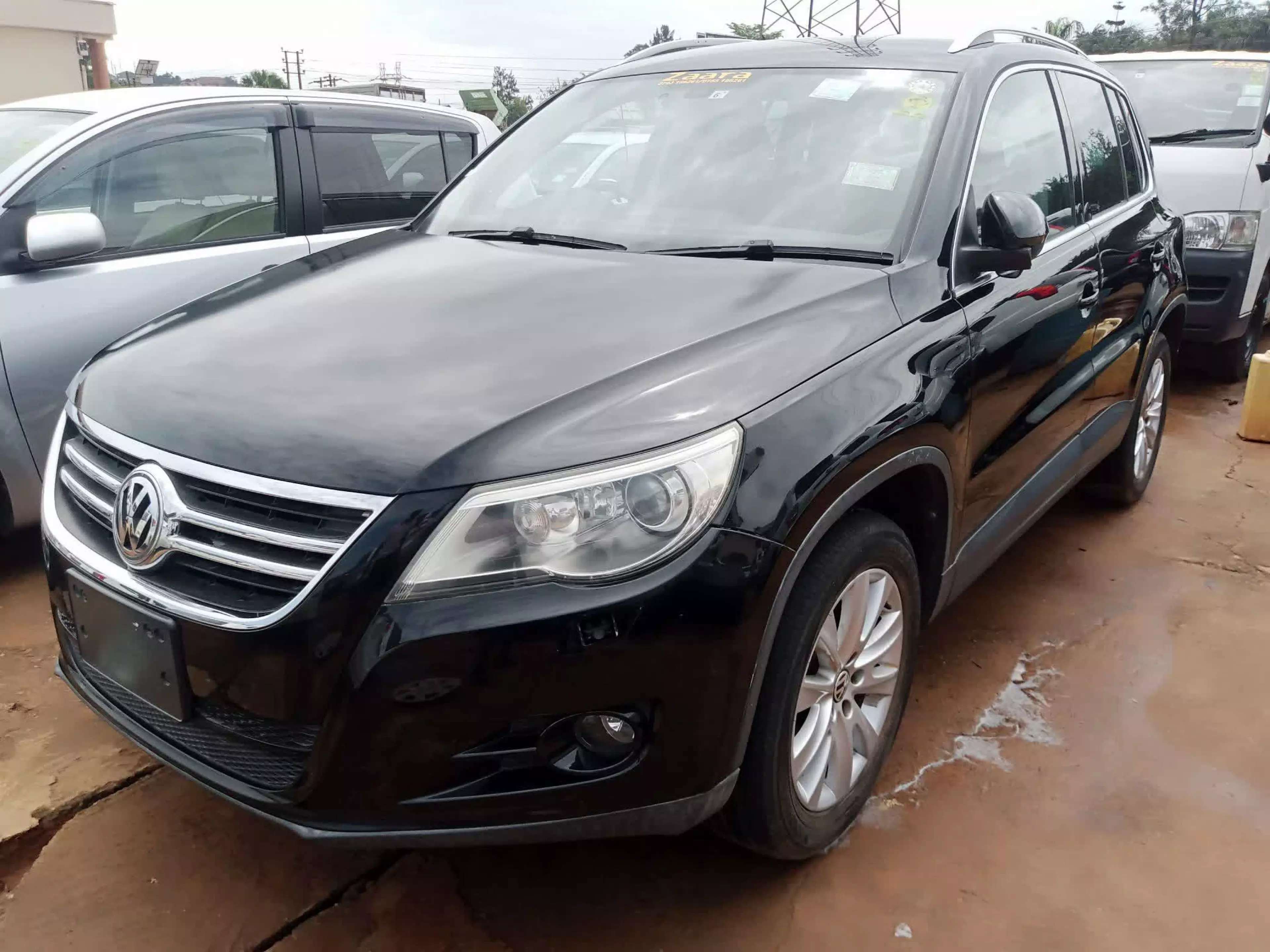 Volkswagen Tiguan - 2009