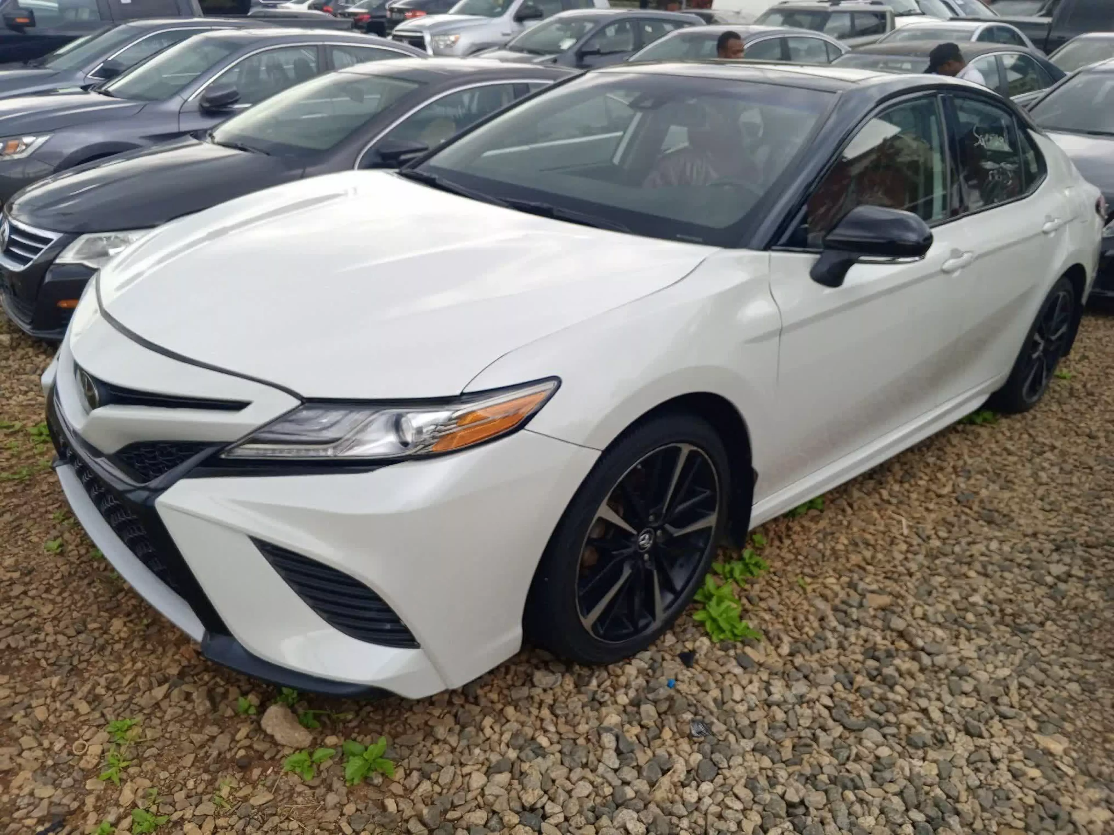 Toyota Camry - 2019