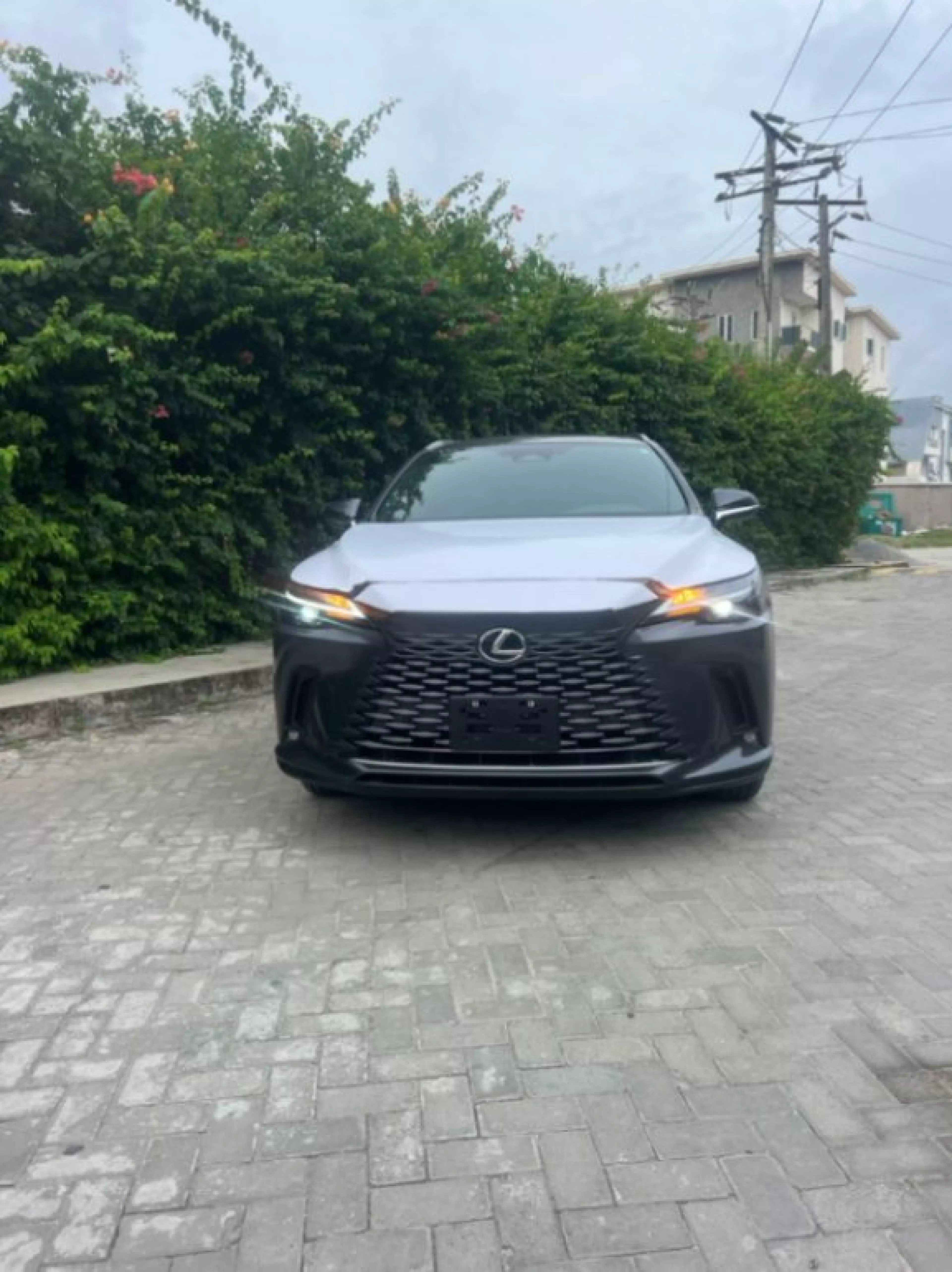 Toyota Lexus RX 350h - 2025