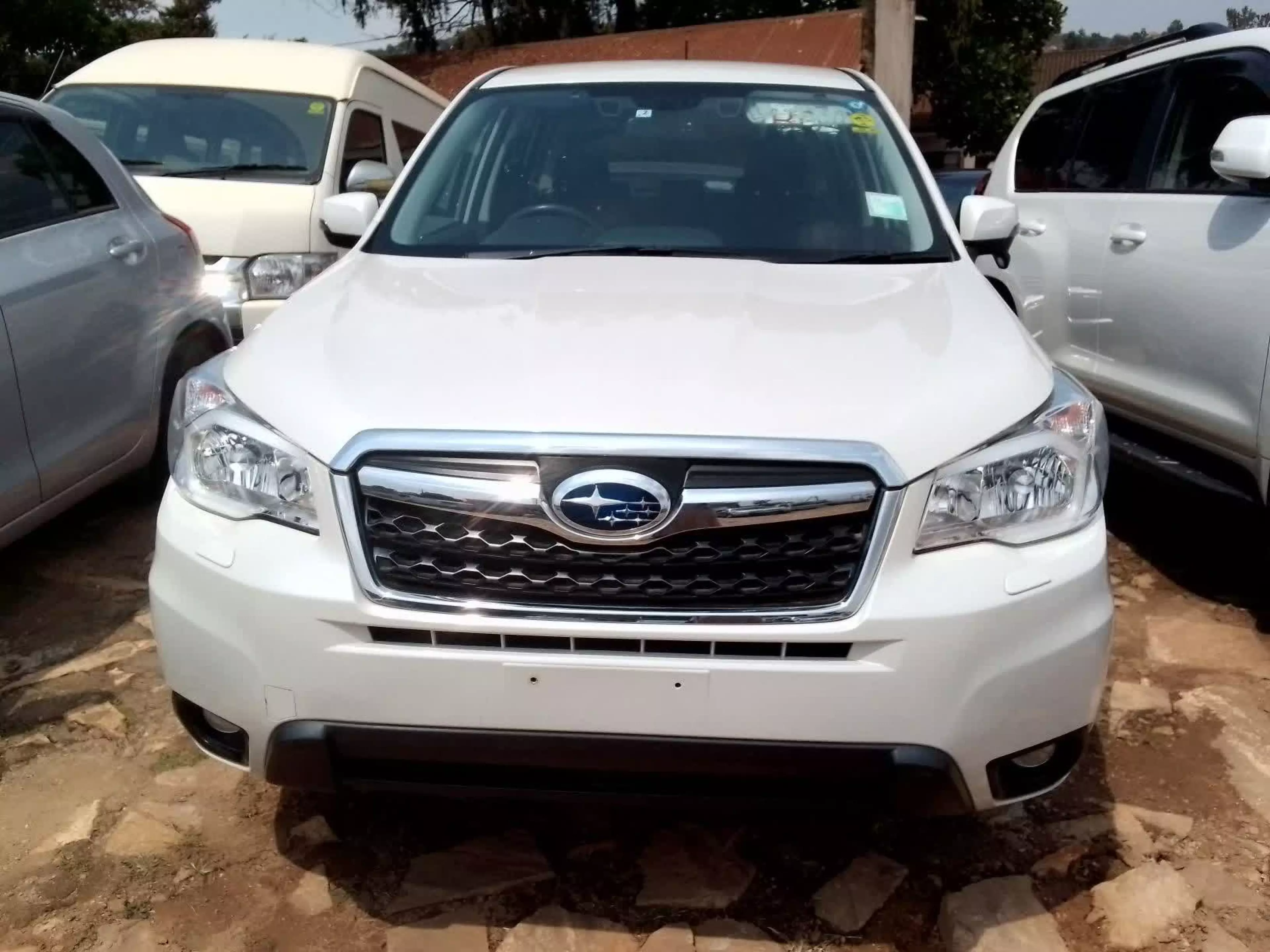 Subaru Forester - 2013