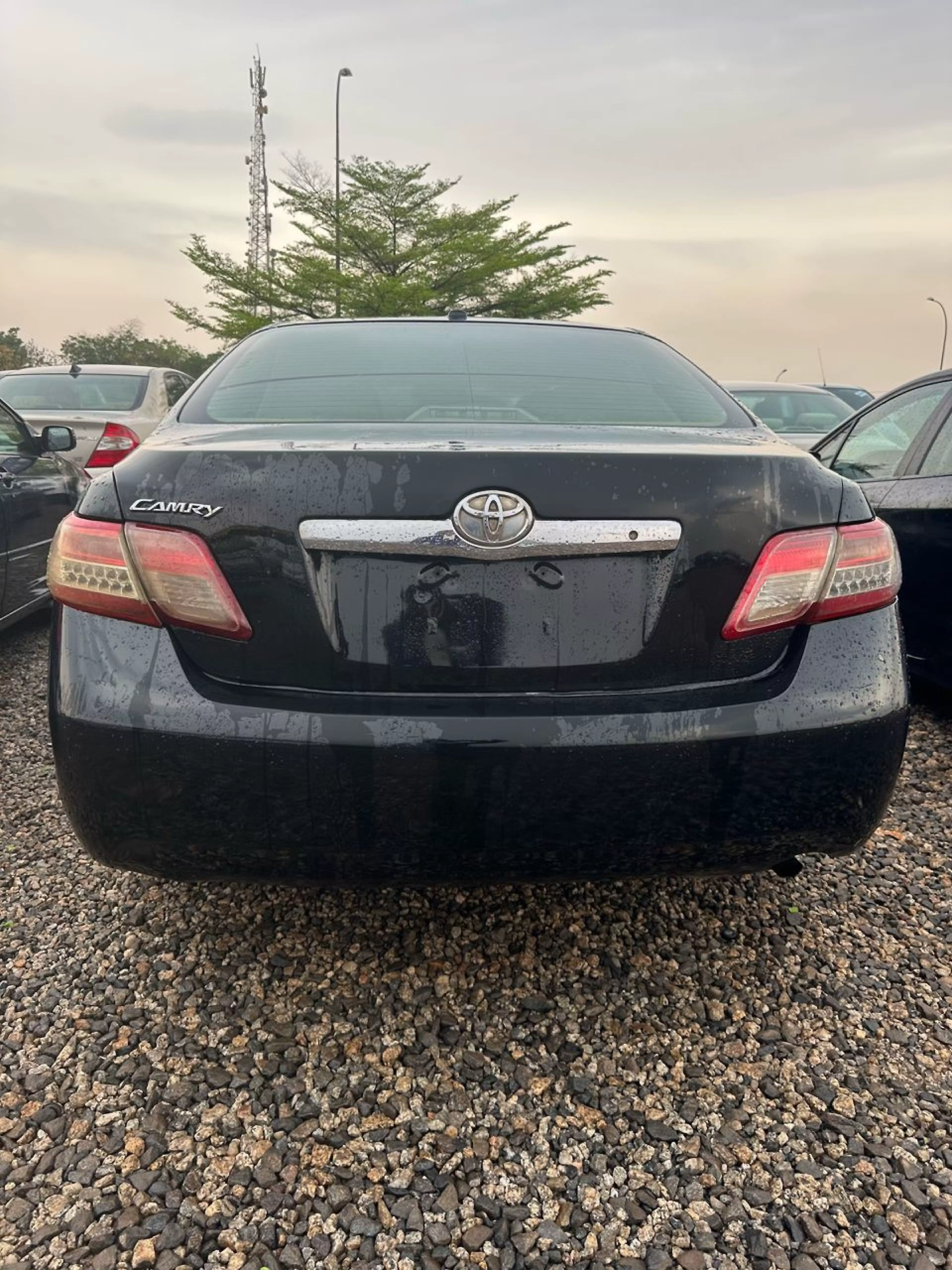 Toyota Camry   - 2010