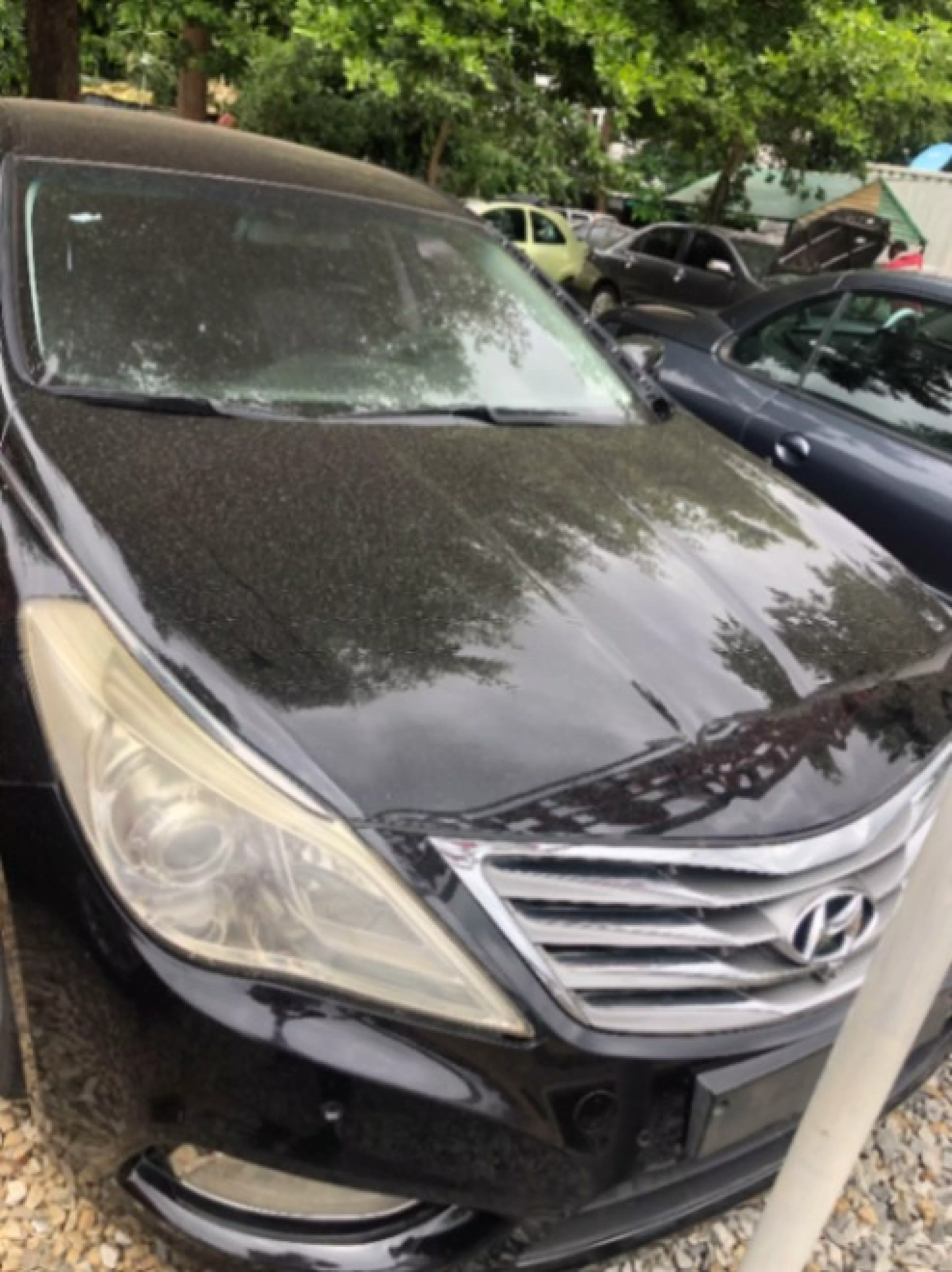Hyundai Grandeur - 2010