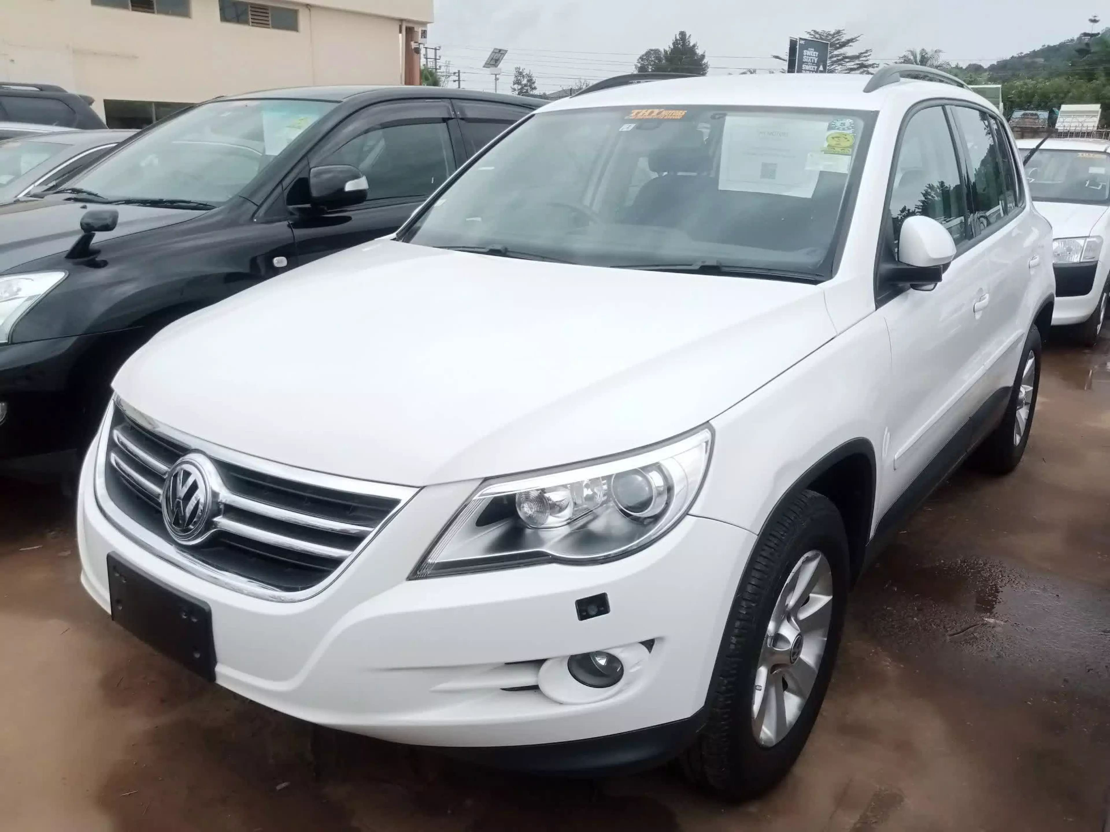 Volkswagen Tiguan - 2009
