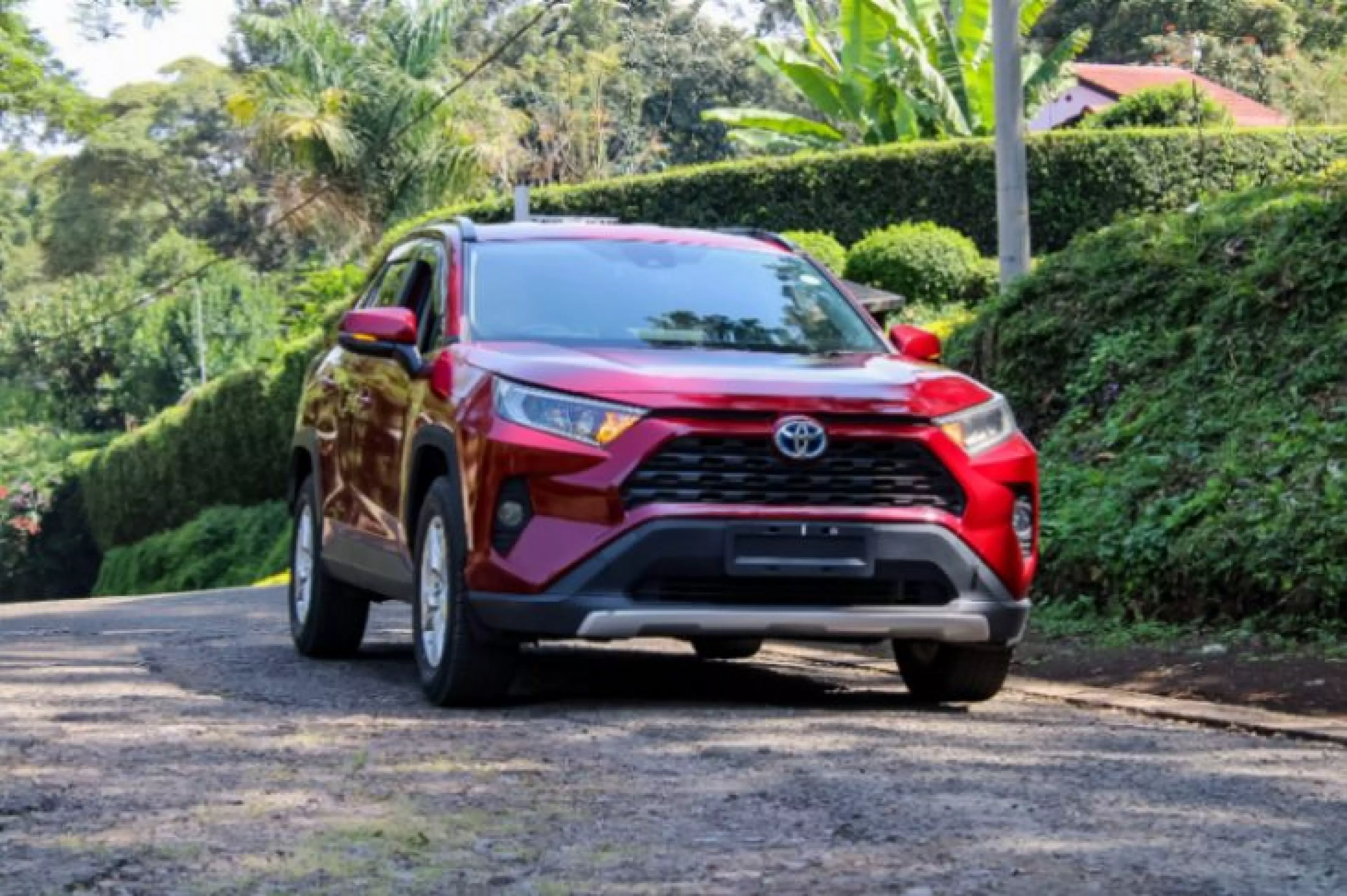 Toyota RAV4 - 2019