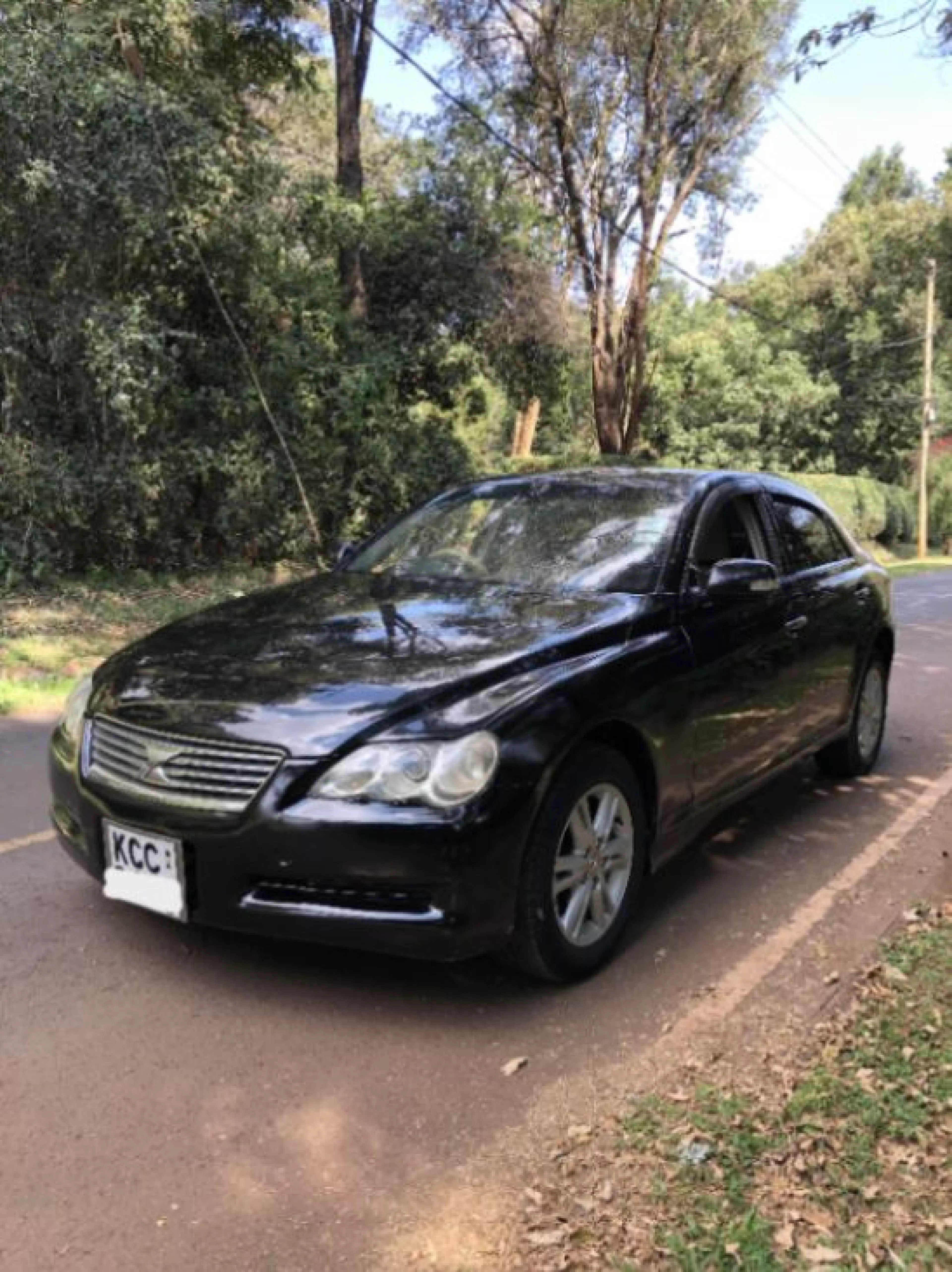 Toyota Mark X - 2008