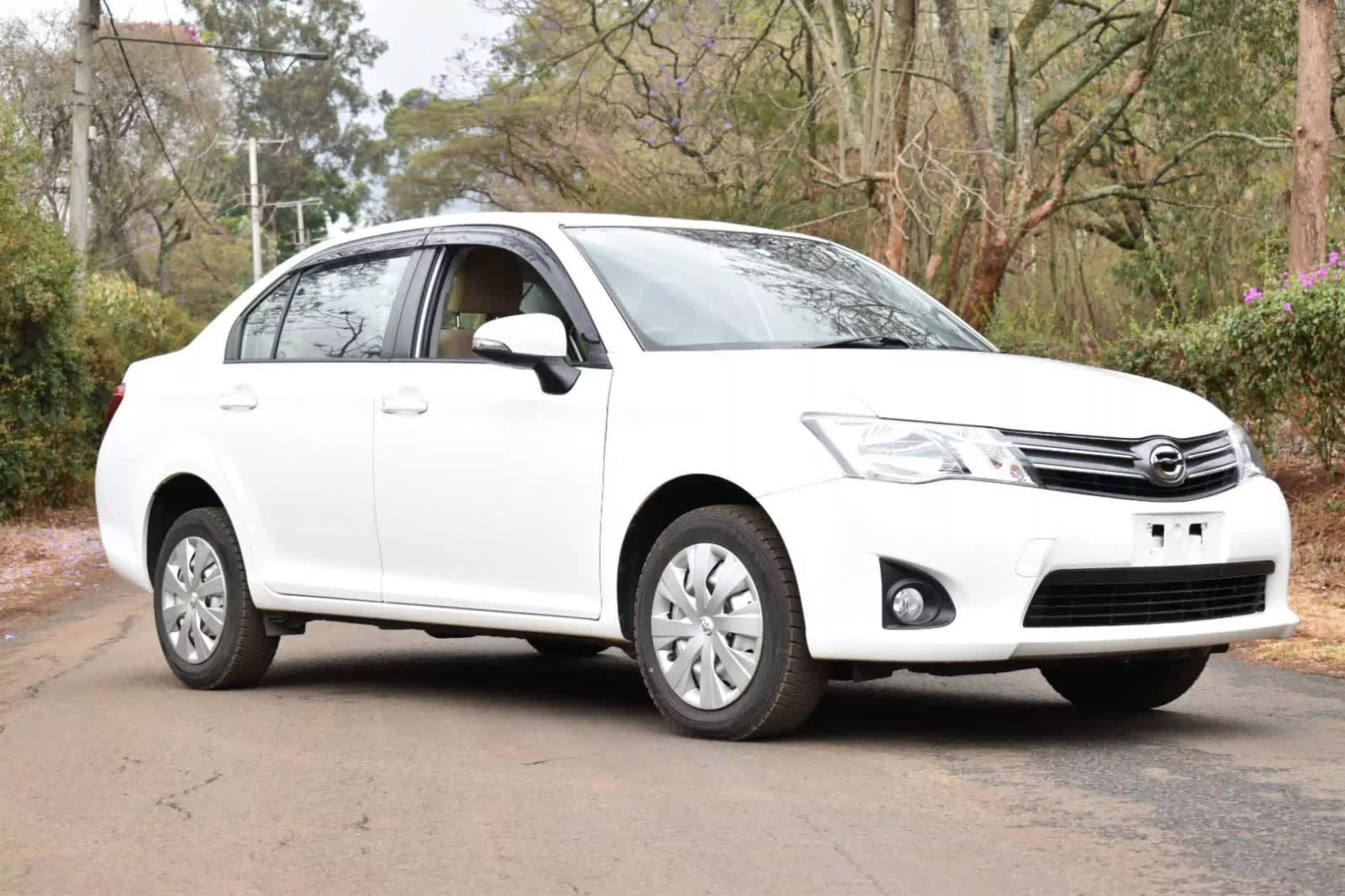 Toyota Axio  - 2015