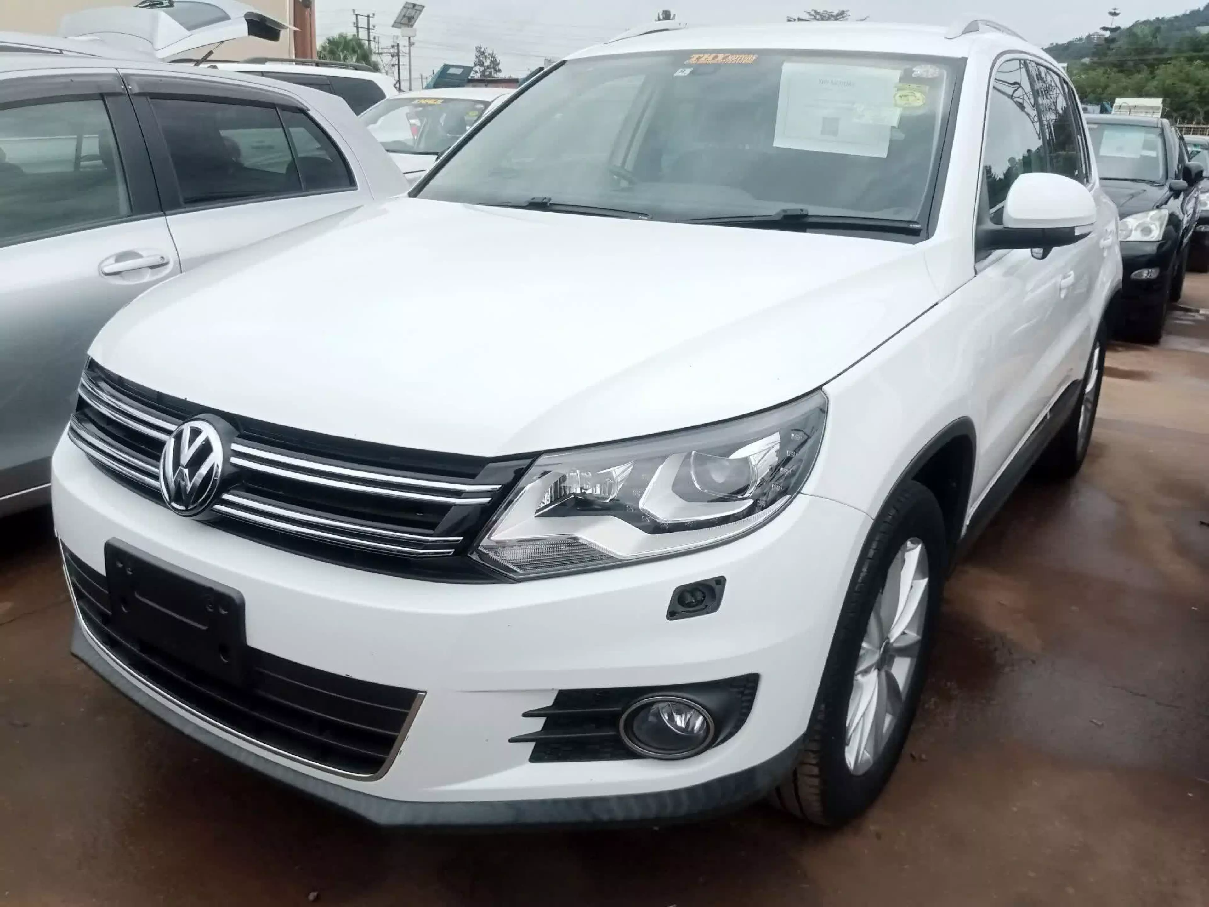 Volkswagen Tiguan - 2014