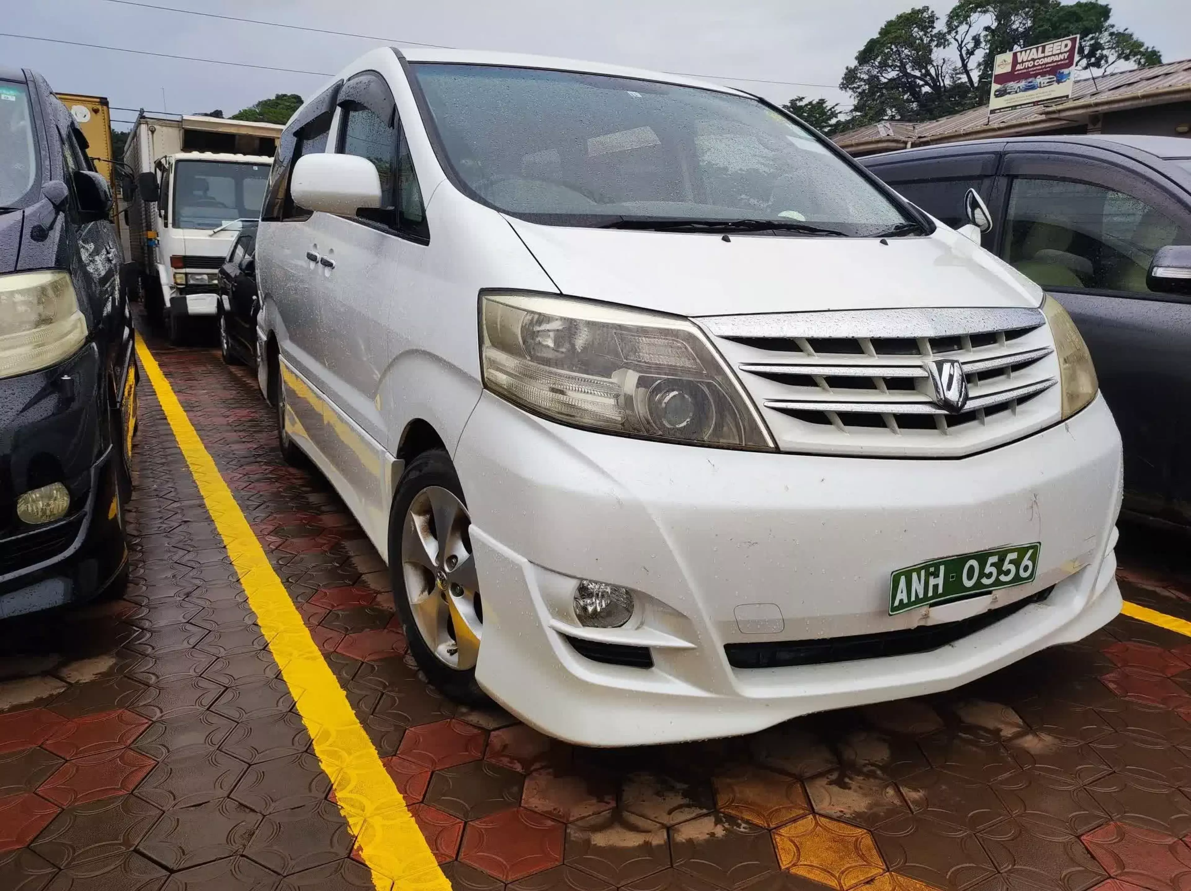 Toyota Alphard - 2009