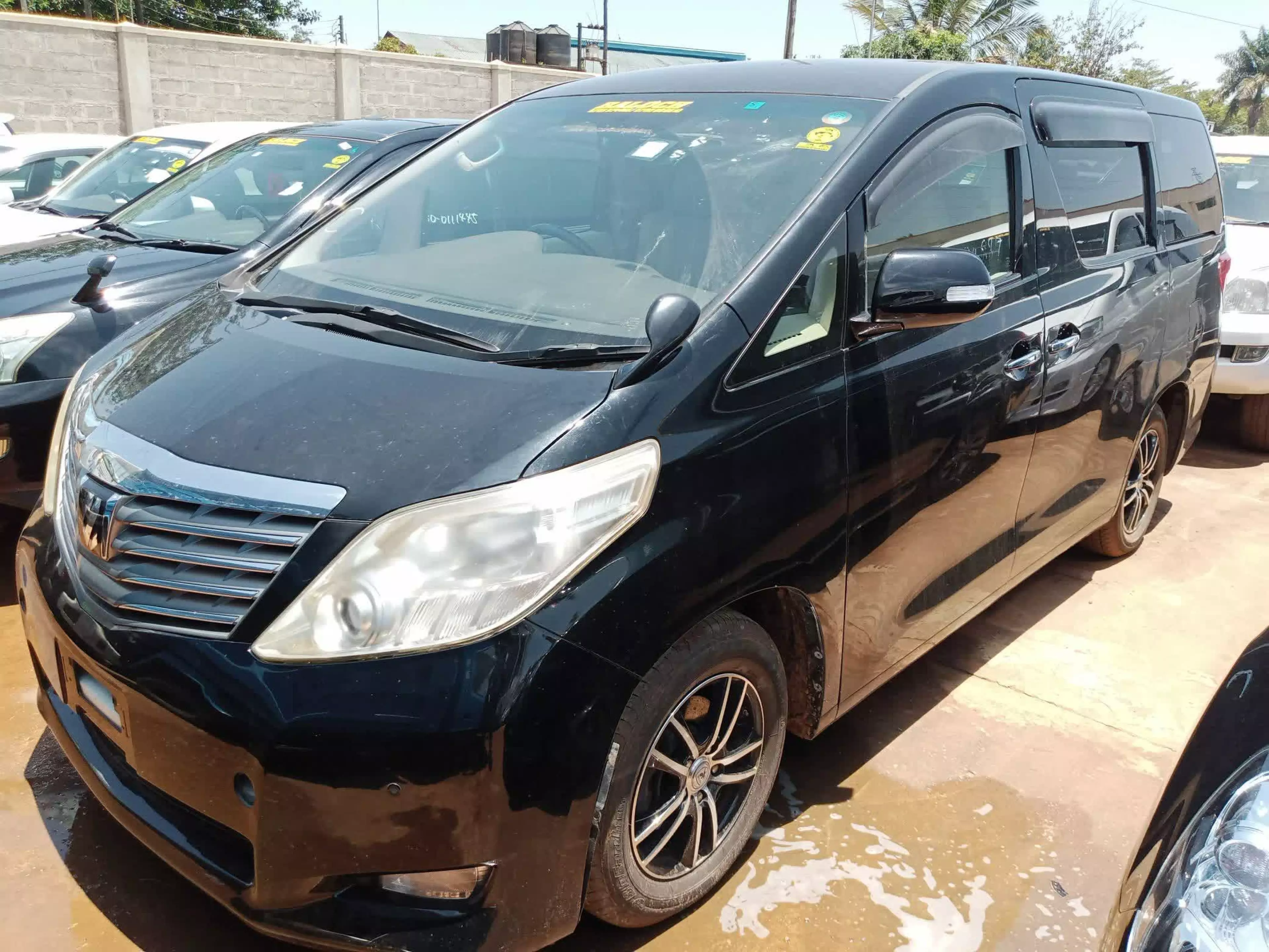 Toyota Alphard - 2010