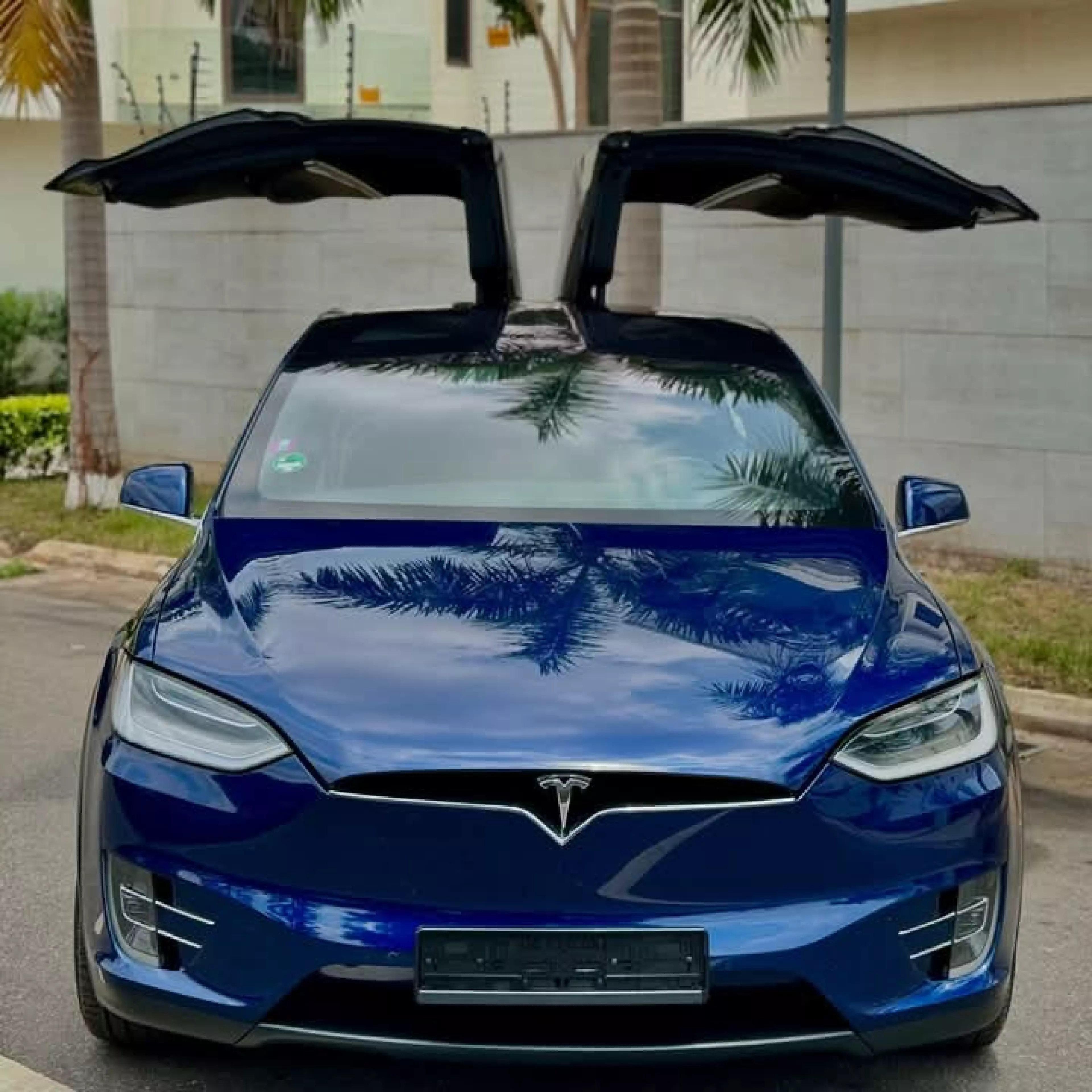Tesla Model X - 2018
