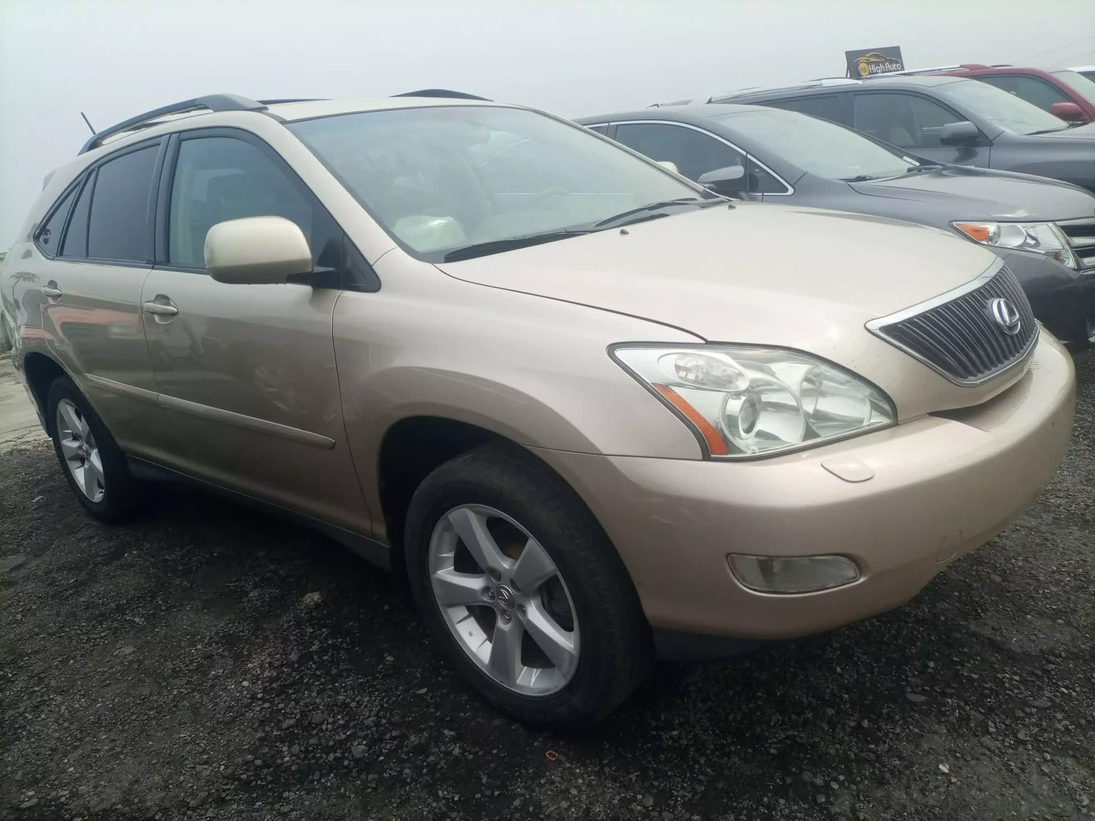 Lexus RX 330 - 2006