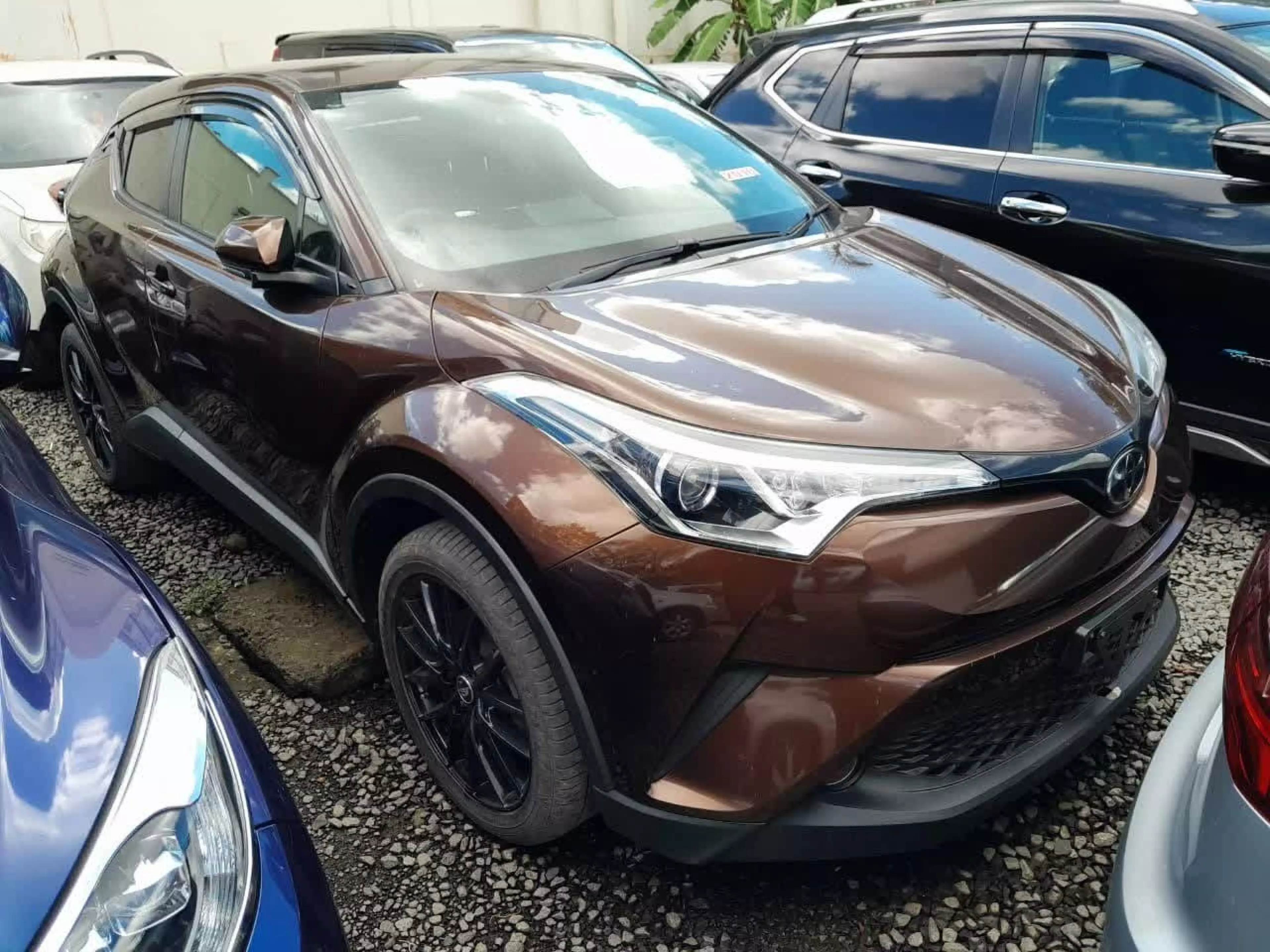 Toyota C-HR - 2016