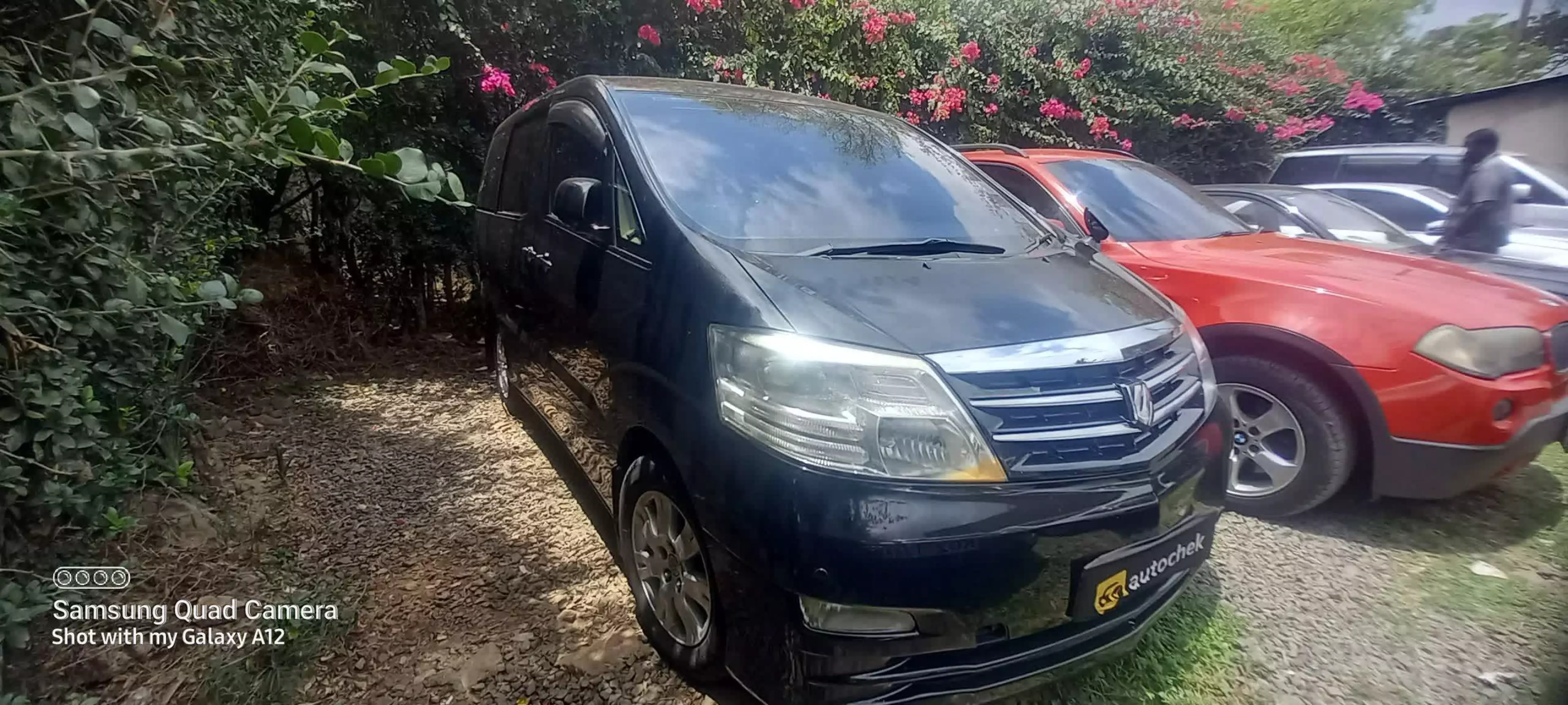 Toyota Alphard - 2008