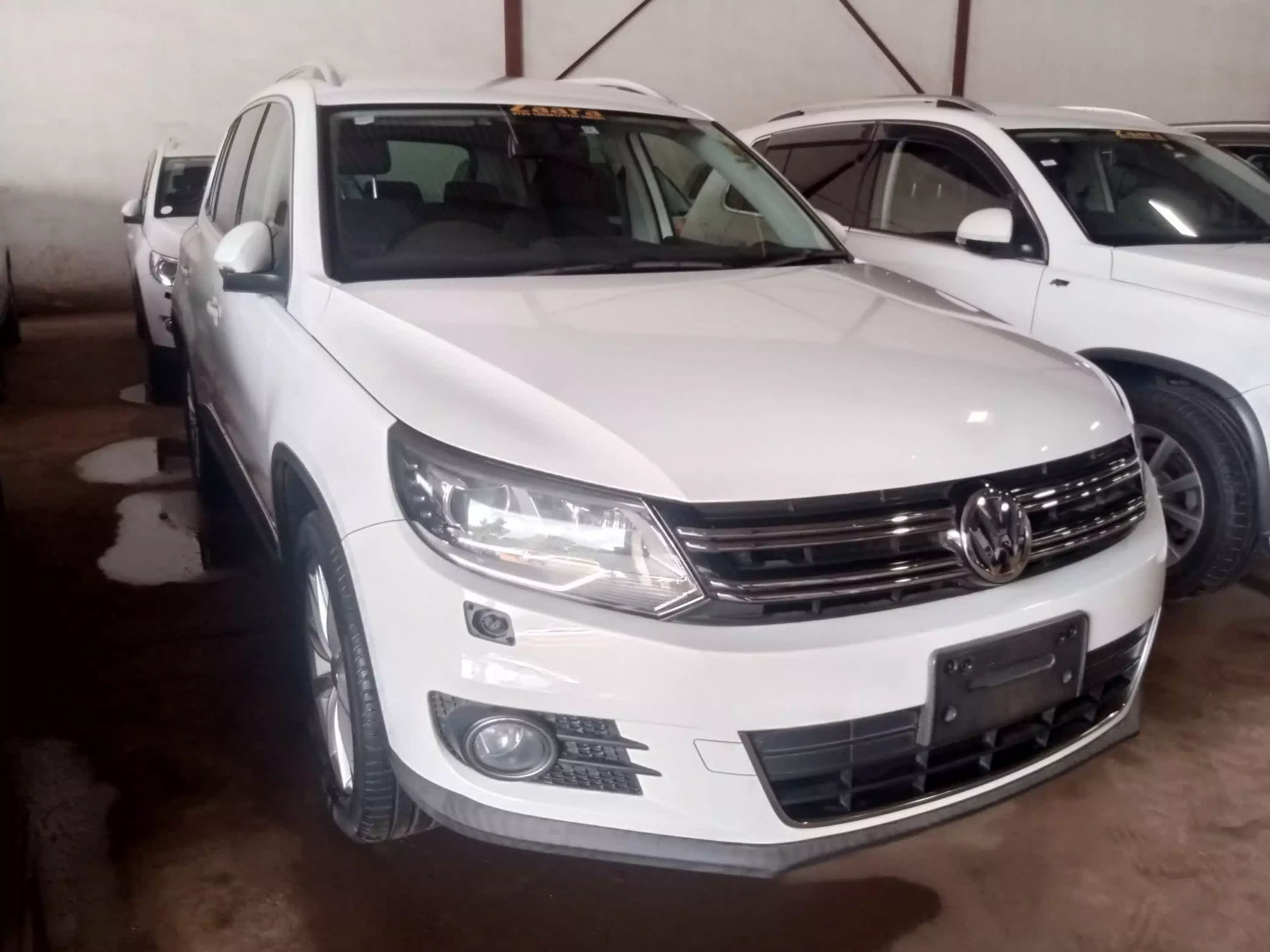 Volkswagen Tiguan   - 2010