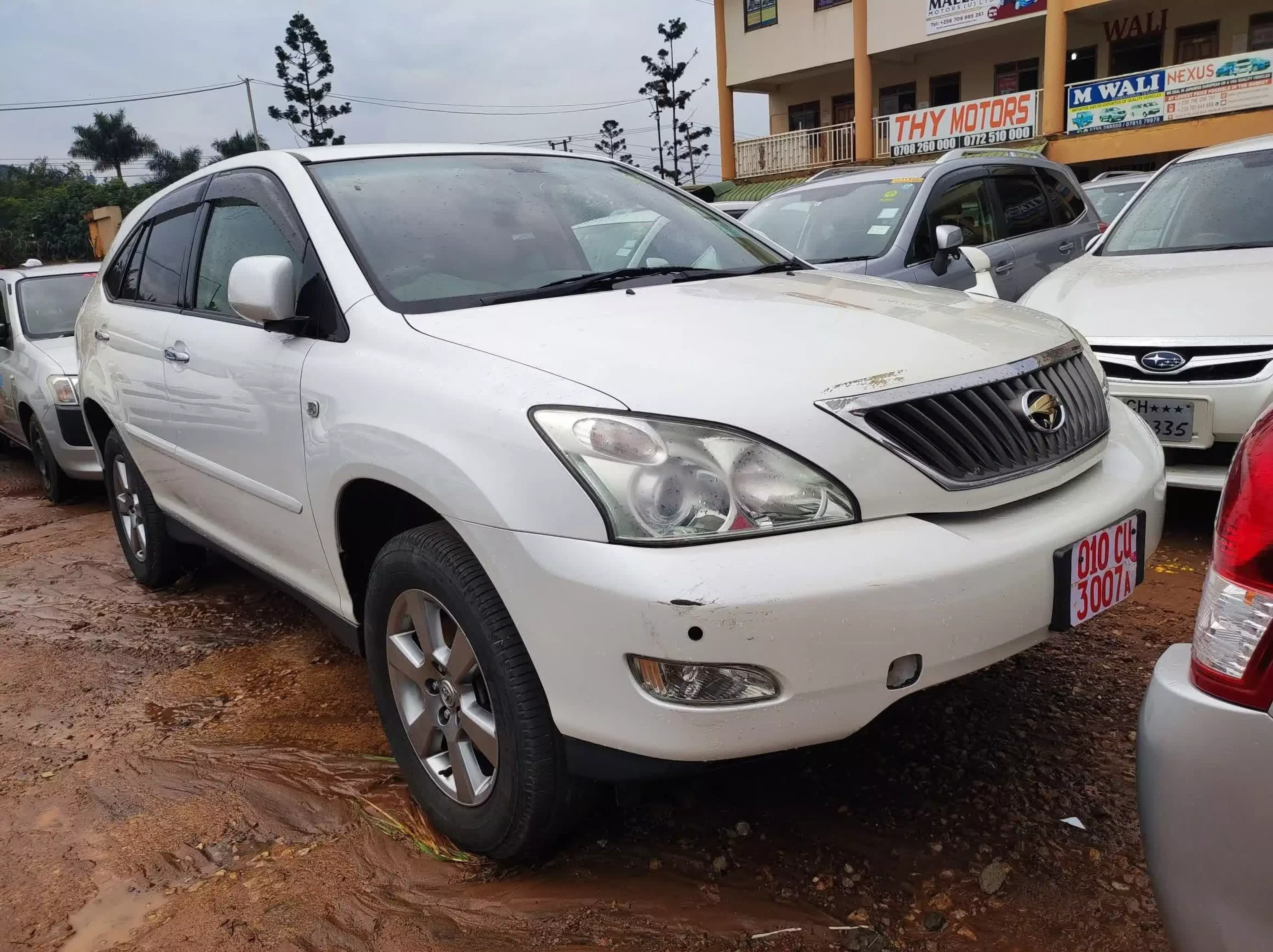 Toyota Harrier - 2009