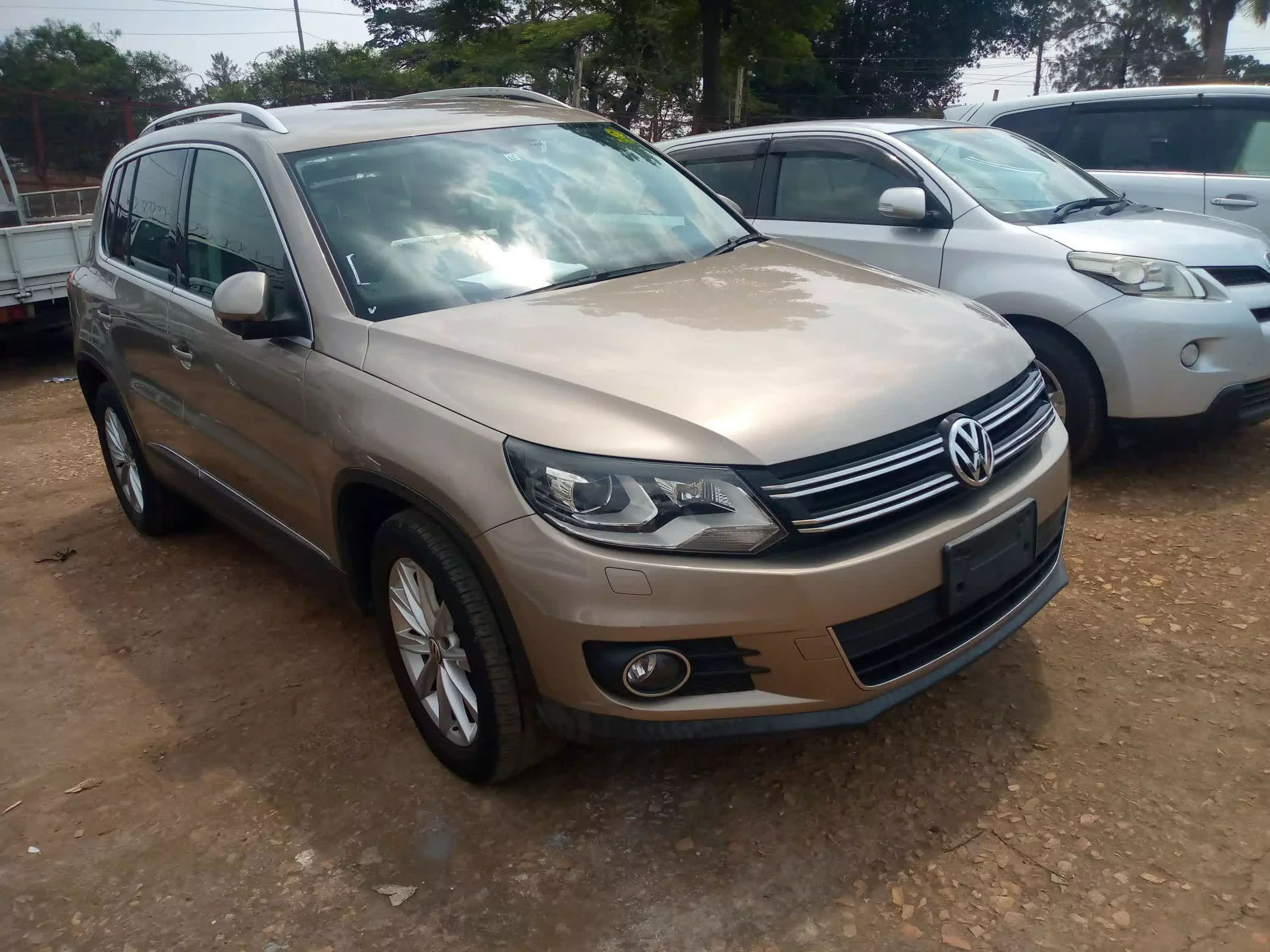 Volkswagen Tiguan - 2013