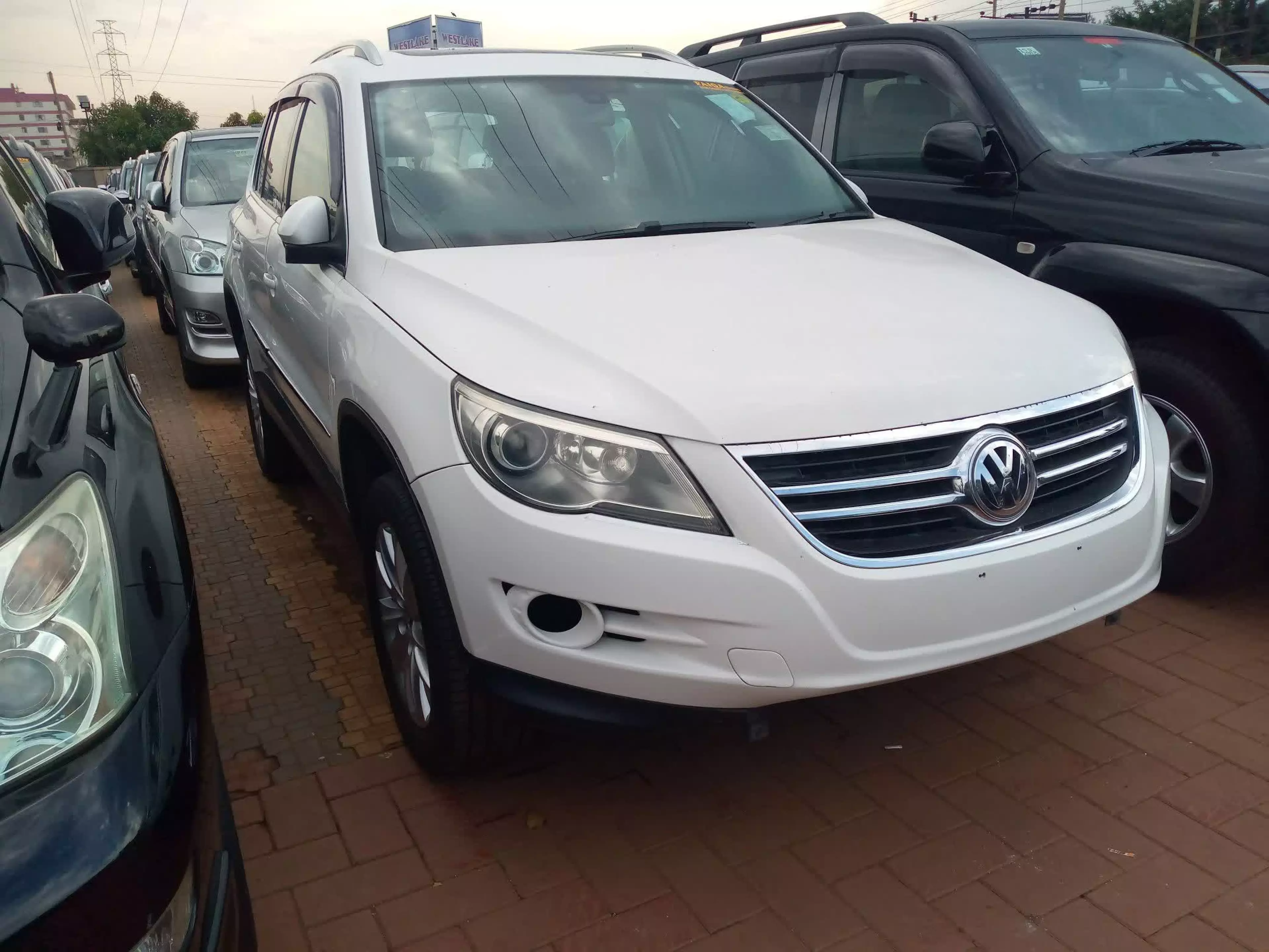 Volkswagen Tiguan - 2008