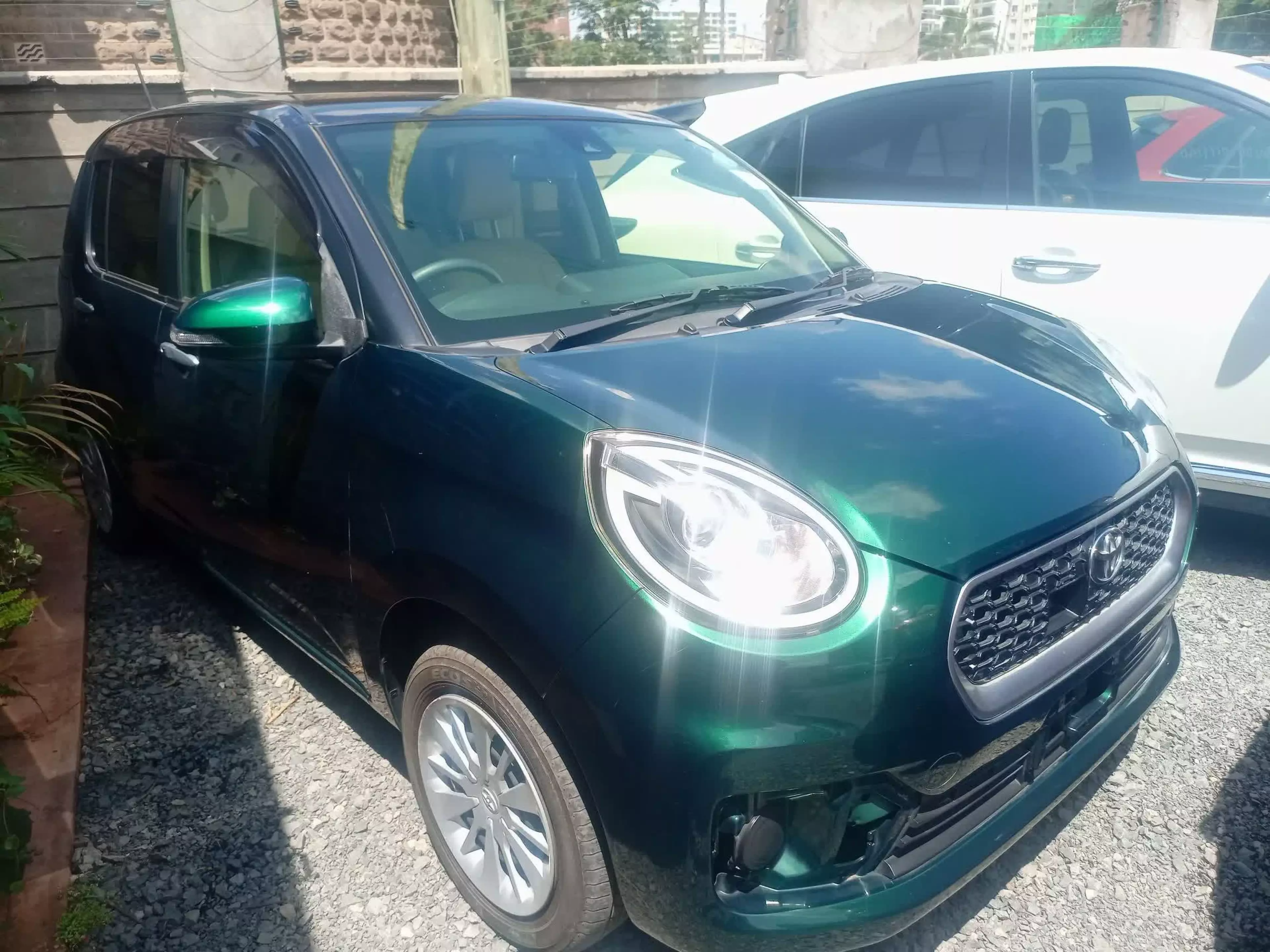 Toyota Passo Moda - 2016