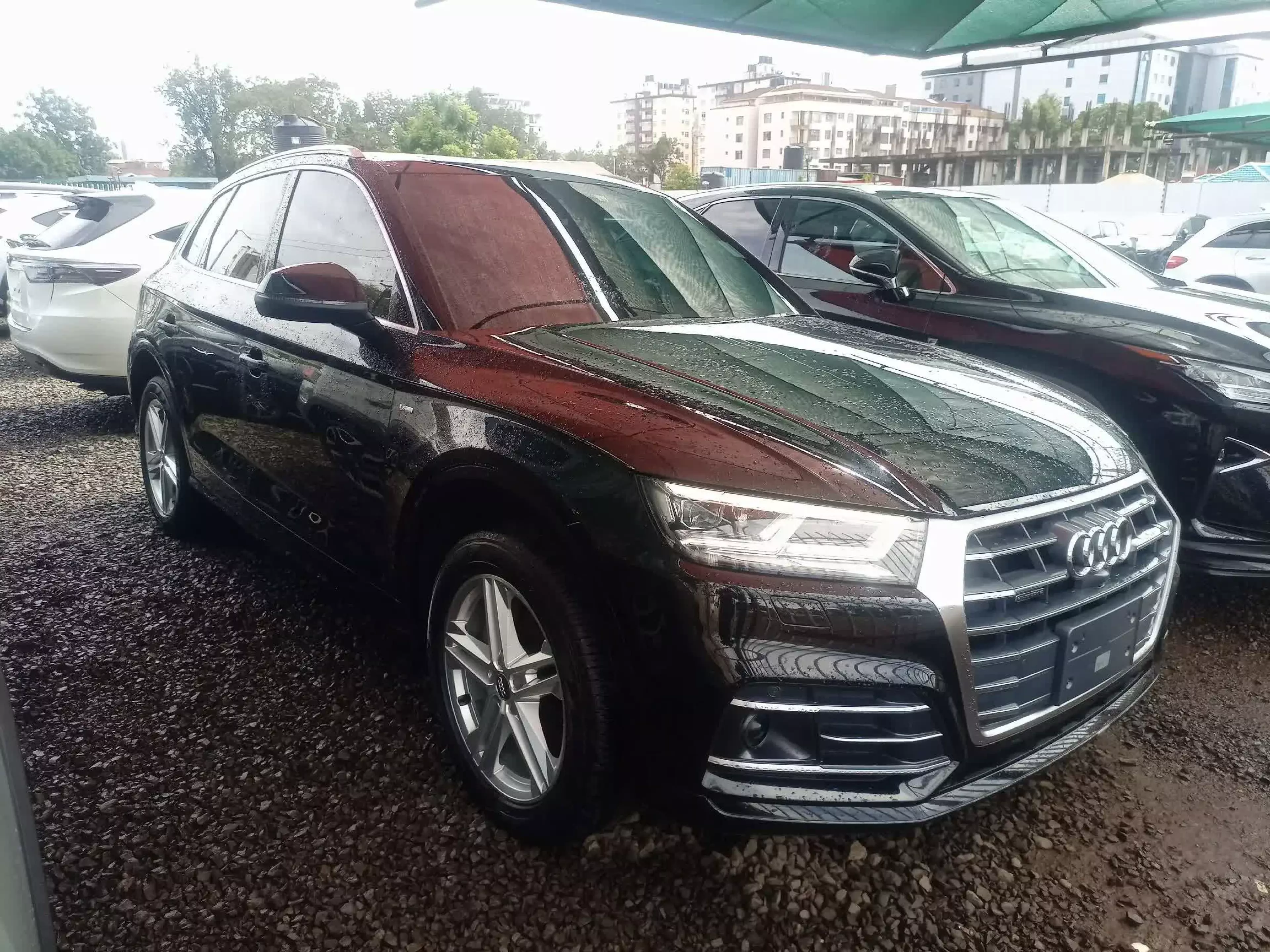 Audi Q5 - 2018