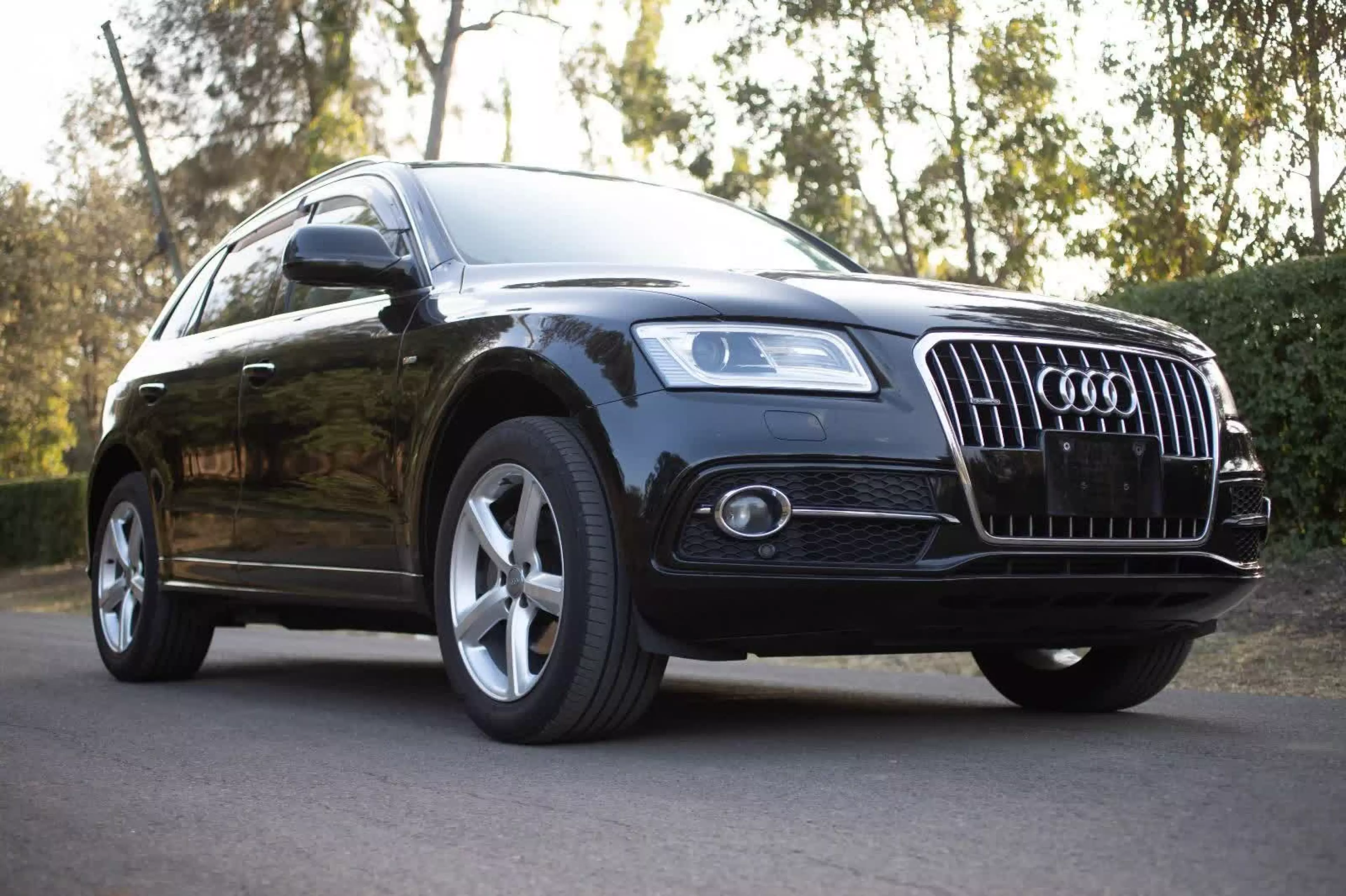 Audi Q5 - 2015